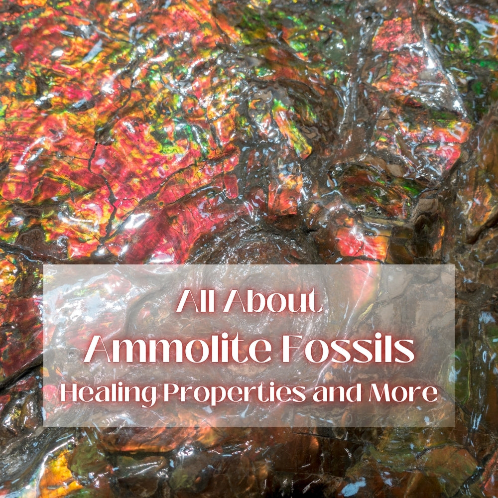 All About Ammolite: Healing Properties and More