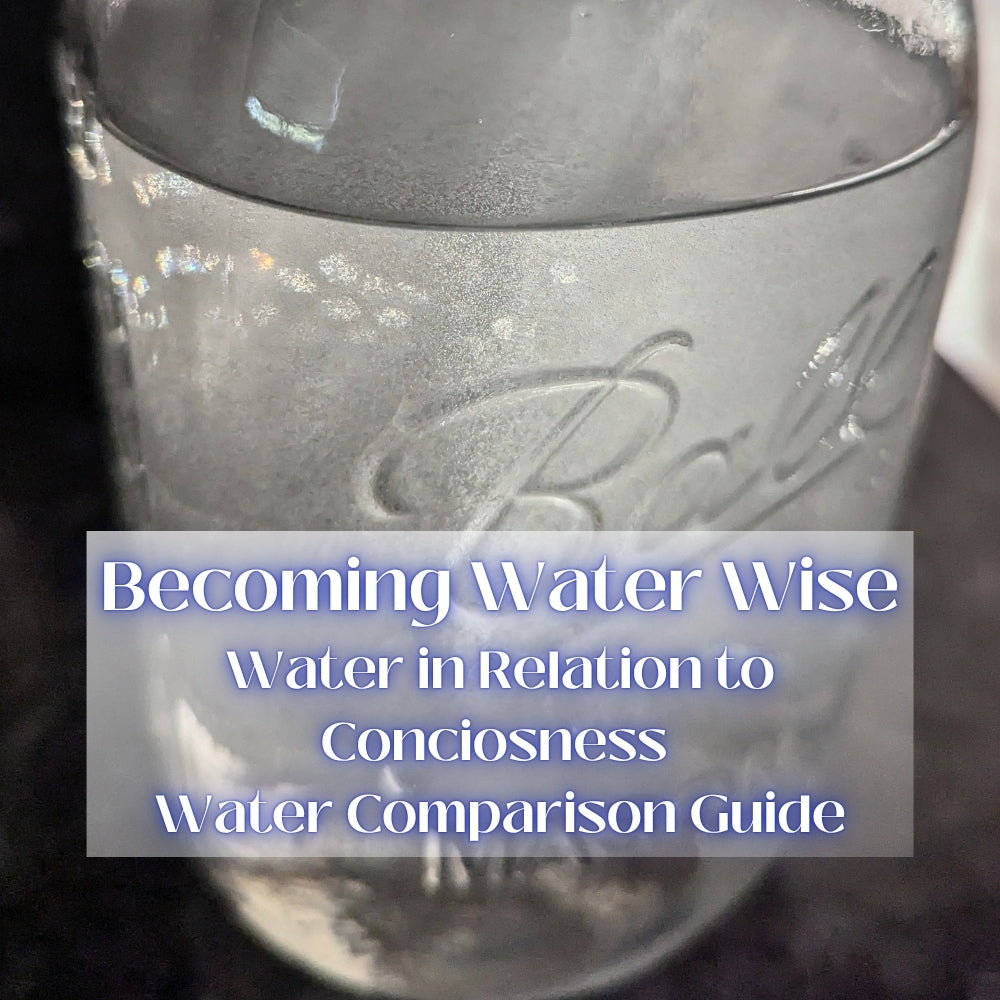 Becoming Water Wise, Part 2: Why Hydration Shapes Your Health, Energy & Consciousness | How Popular Water Types Compare