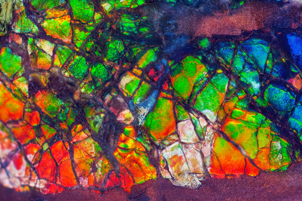 Ammolite Crystal Meaning, Healing, Properties, And More