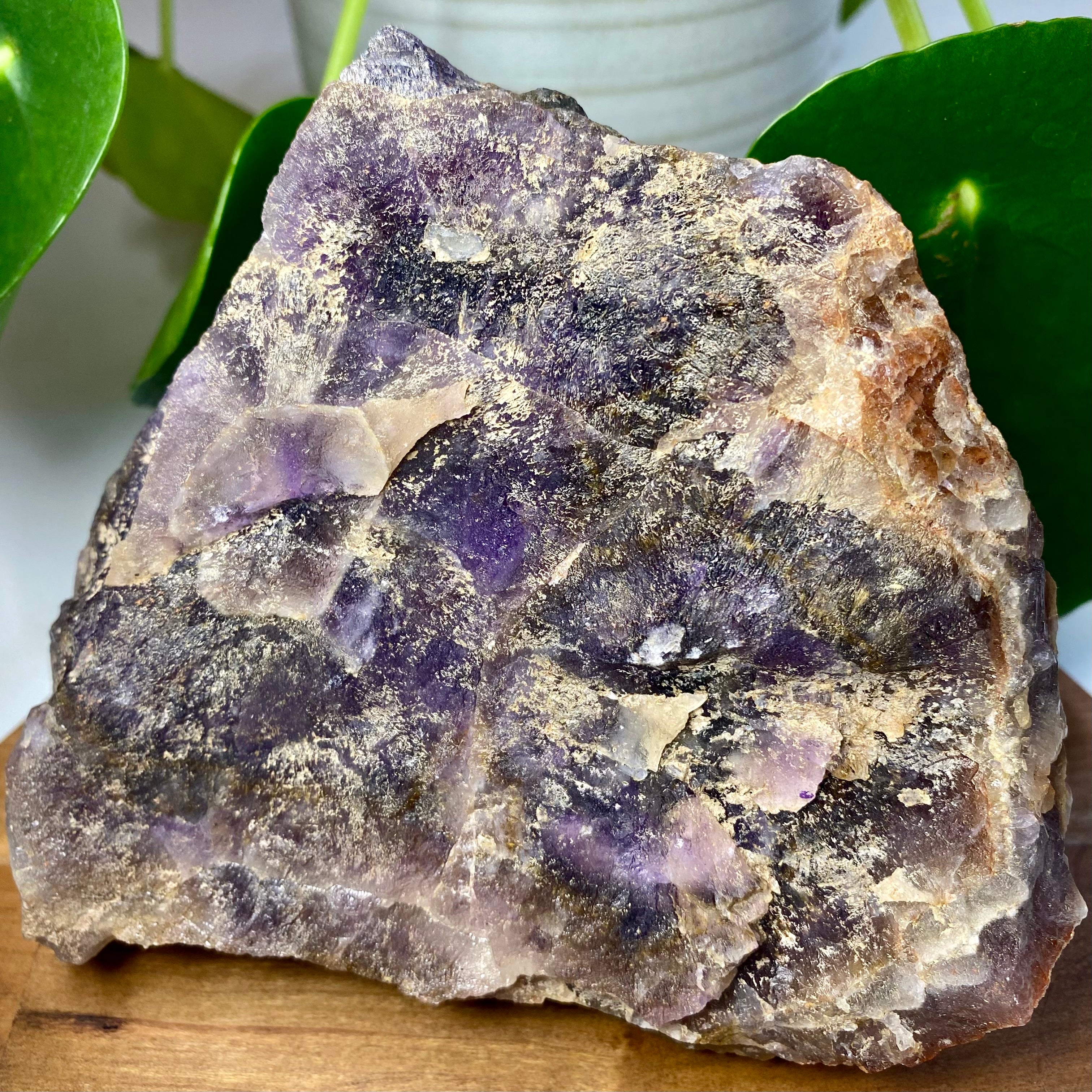 Jumbo Auralite 23 Cluster of Points with Shimmering Hematoid Caps and Record Keepers