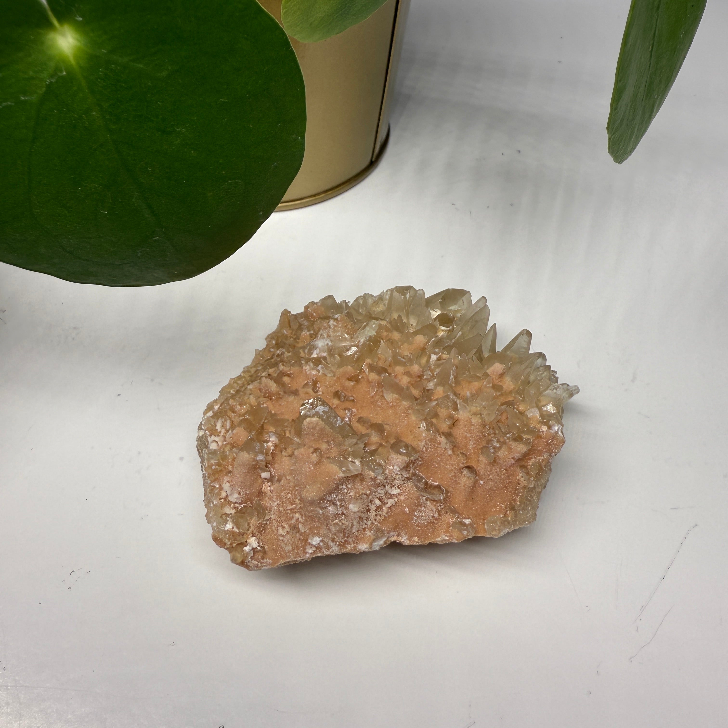 Dog Tooth Calcite Cluster from Peru