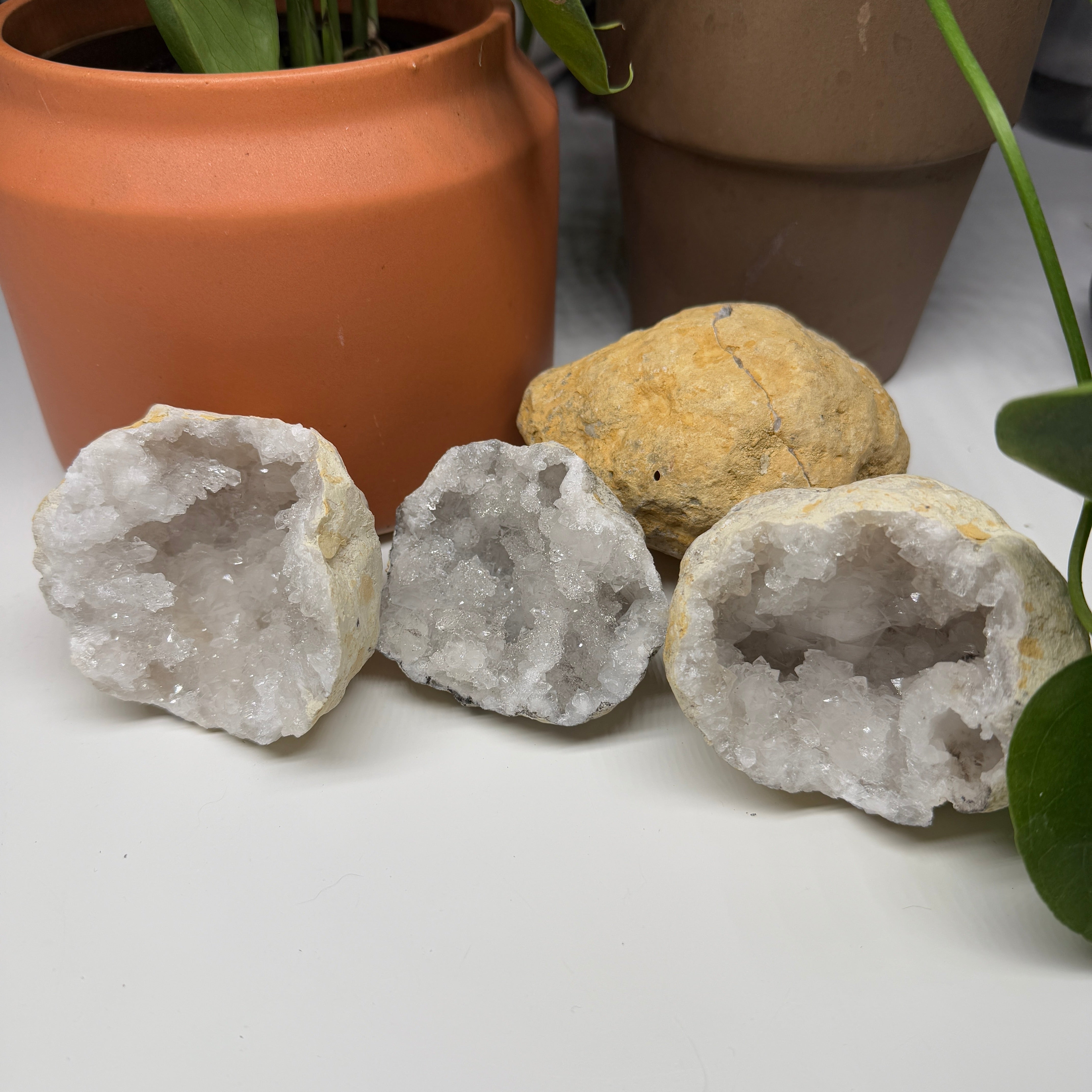 One Morroccon Geode Whole / Cracked with Dazzling Micro Quartz Inside