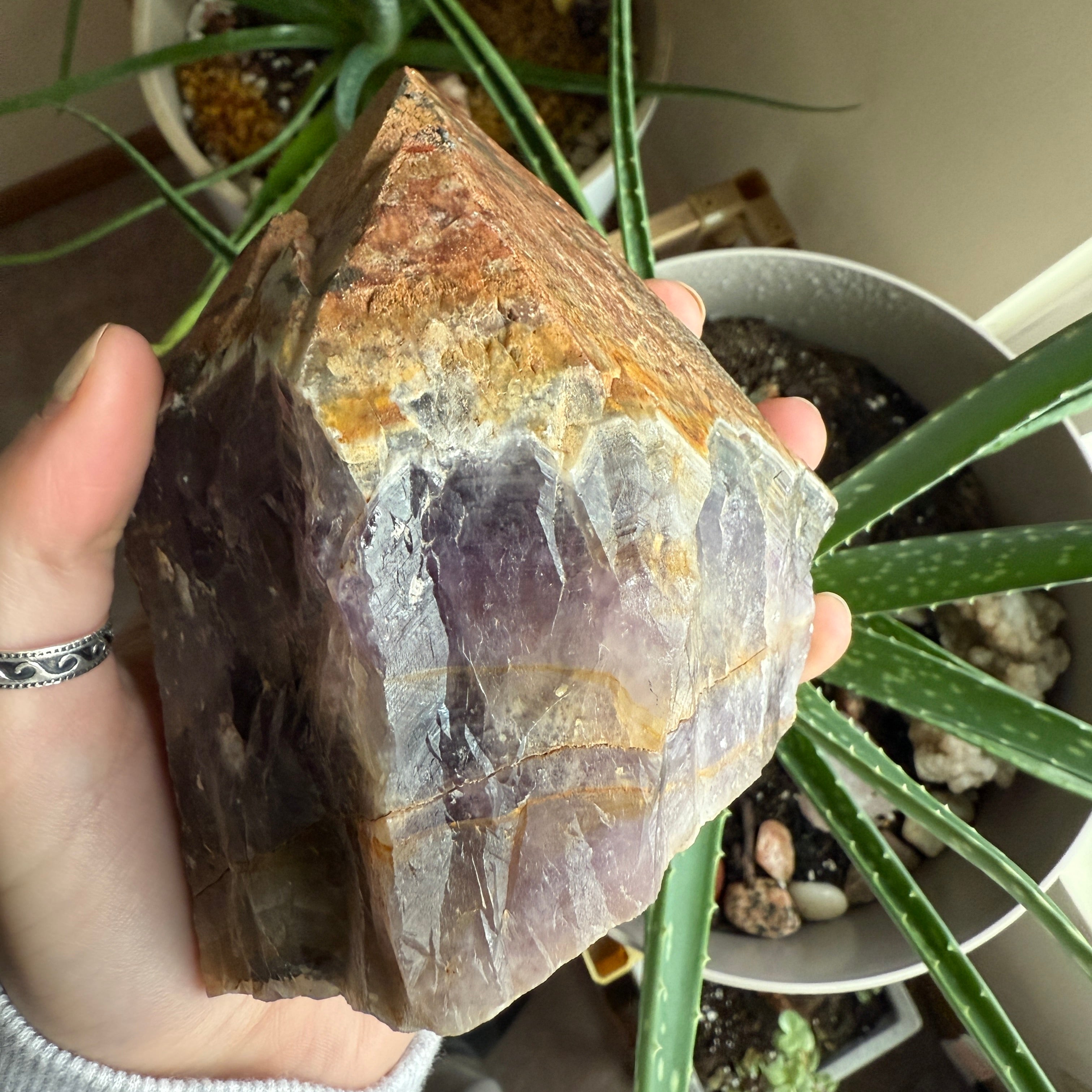 Jumbo Auralite 23 Natural Raw Gemstone Point with Record Keepers and Hematite Crust