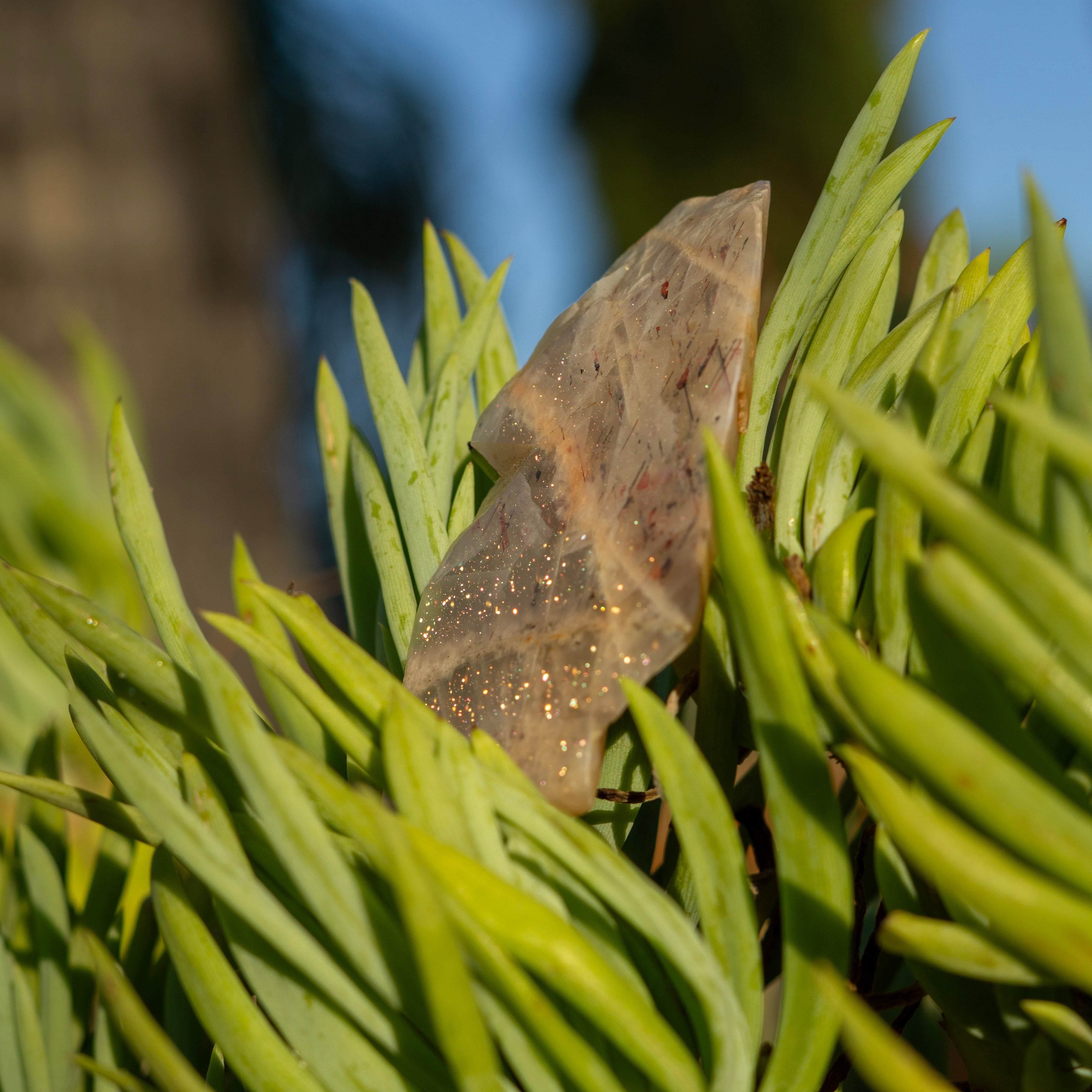27 Carat Rare Australian Lunalite Moonstone Gem with Hematite Inclusions