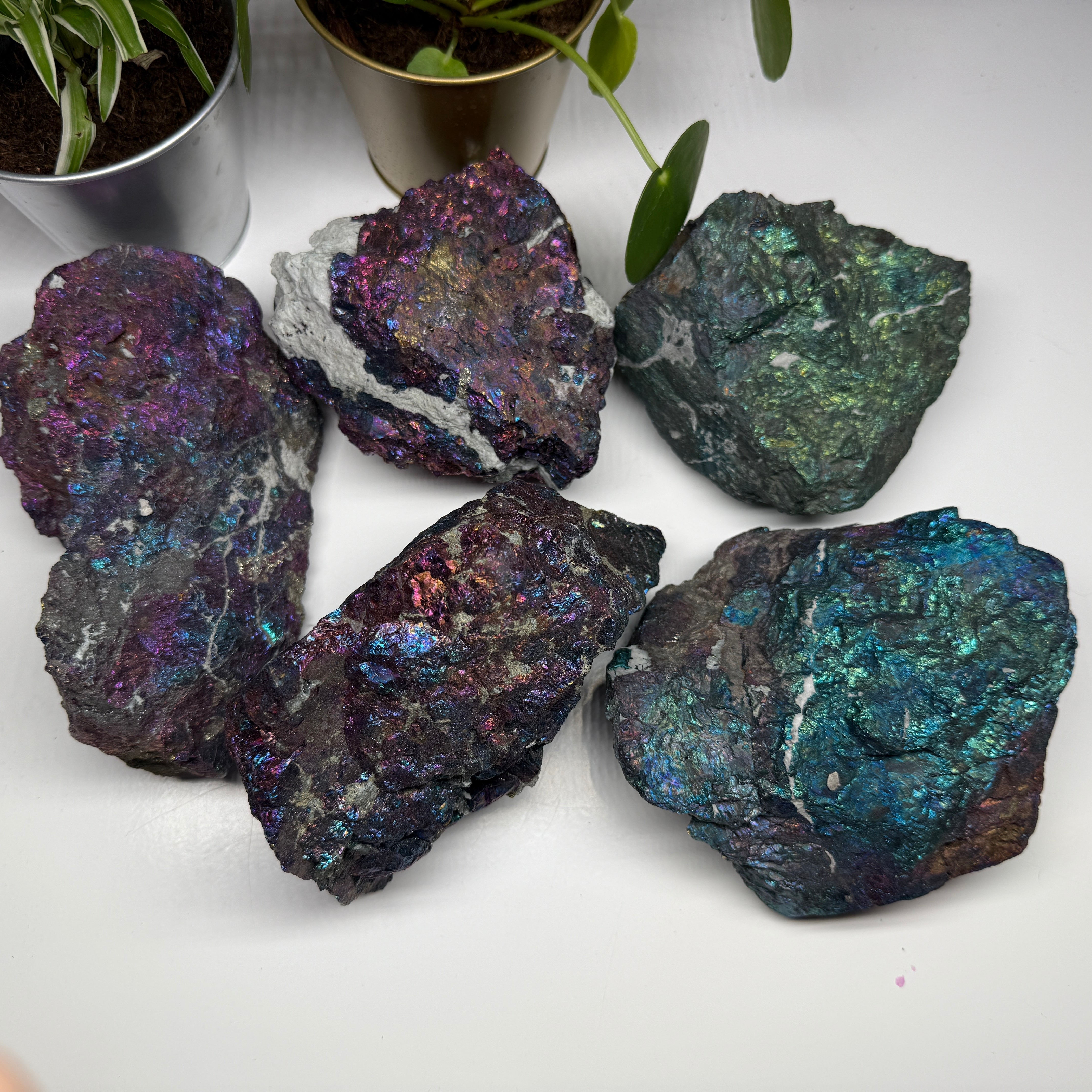 One Extra Large Rainbow Chalcopyrite Bolivar Mine, Chihuahua, Mexico