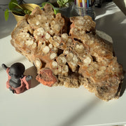 Jumbo Natural Partially Polished Onyx Crystal Display Specimen with Caves