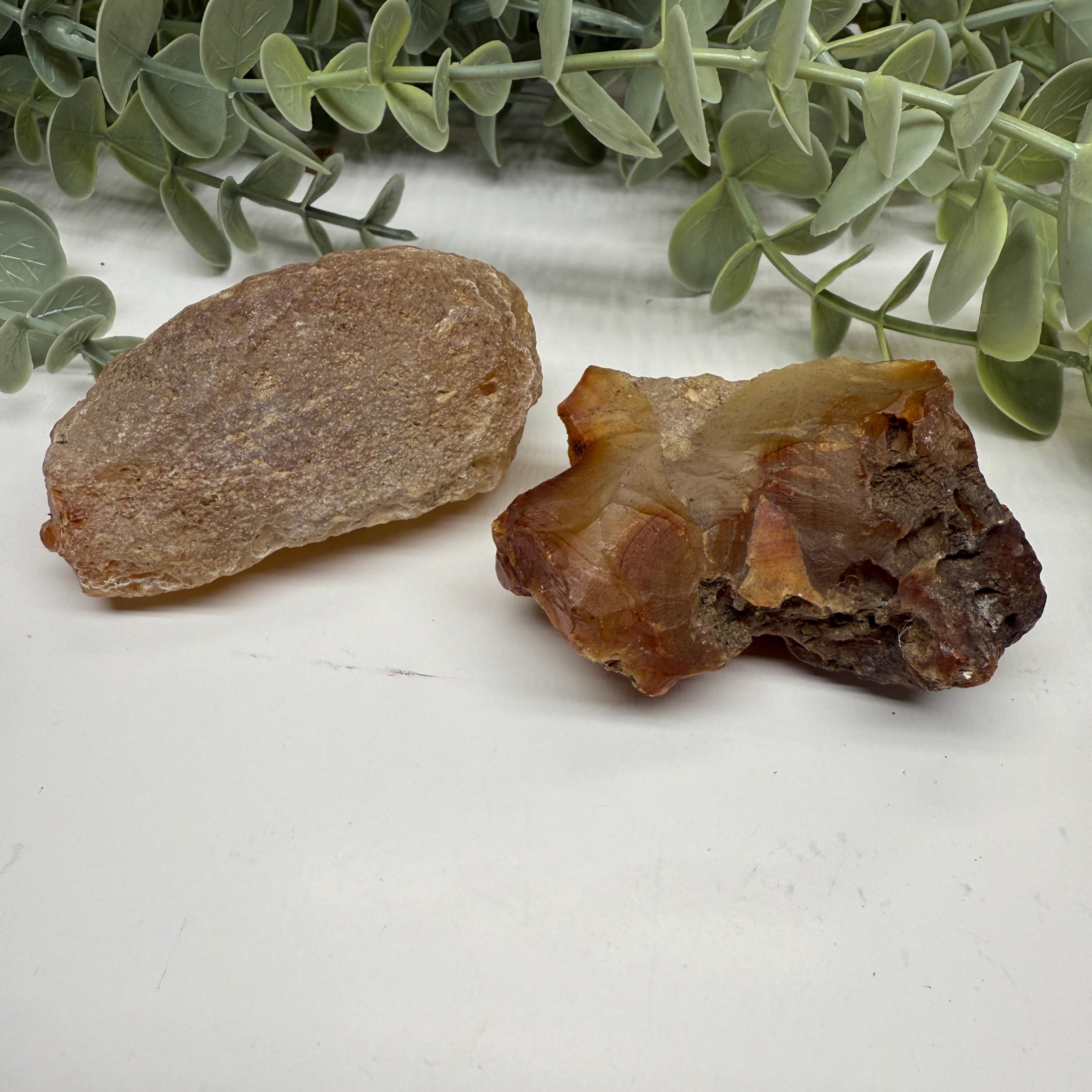 Set of Two Raw Hand Collected Carnelian Agate from Washington State, USA