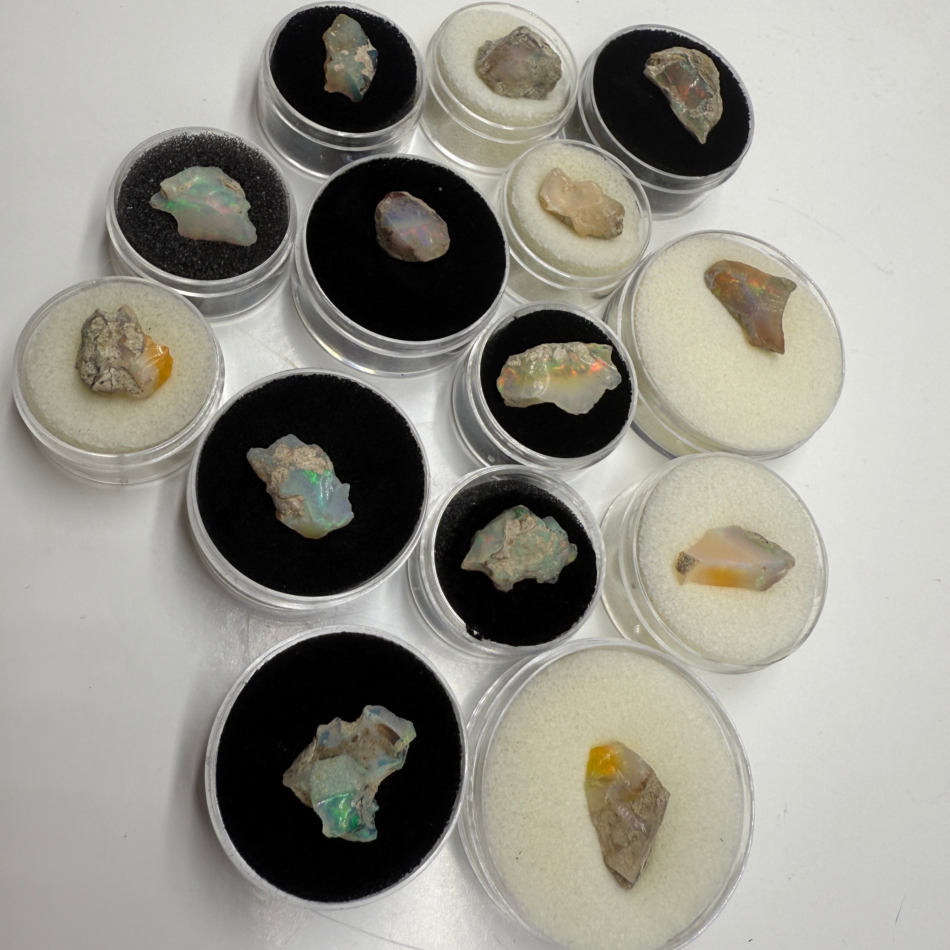 Rainbow Flash Raw Ethiopian Opal Stones in Collectors Case 5 Carats Each