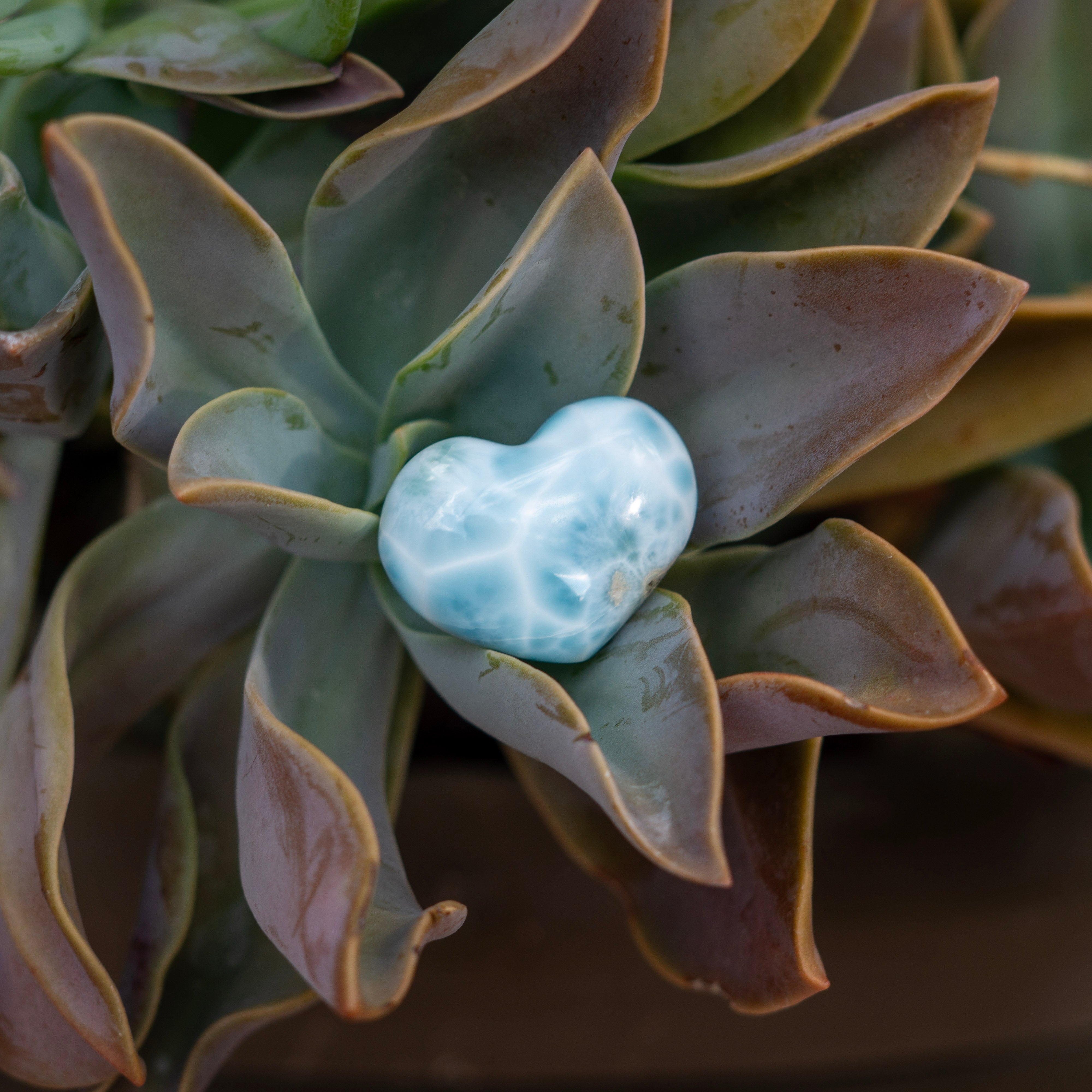 Medium Larimar Heart Cabochon