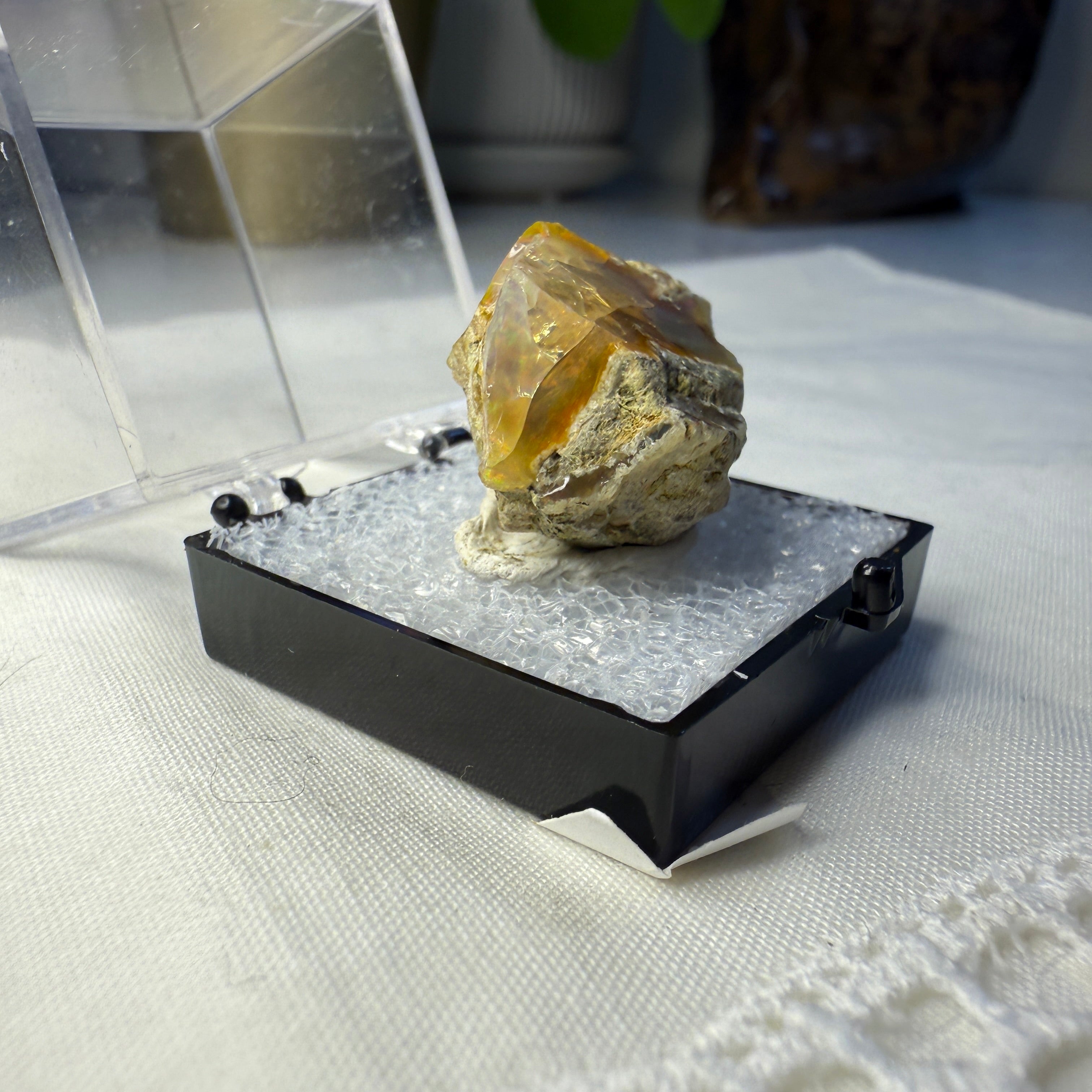 31 Carat Ethiopian Opal Raw Specimen in Collectors Case