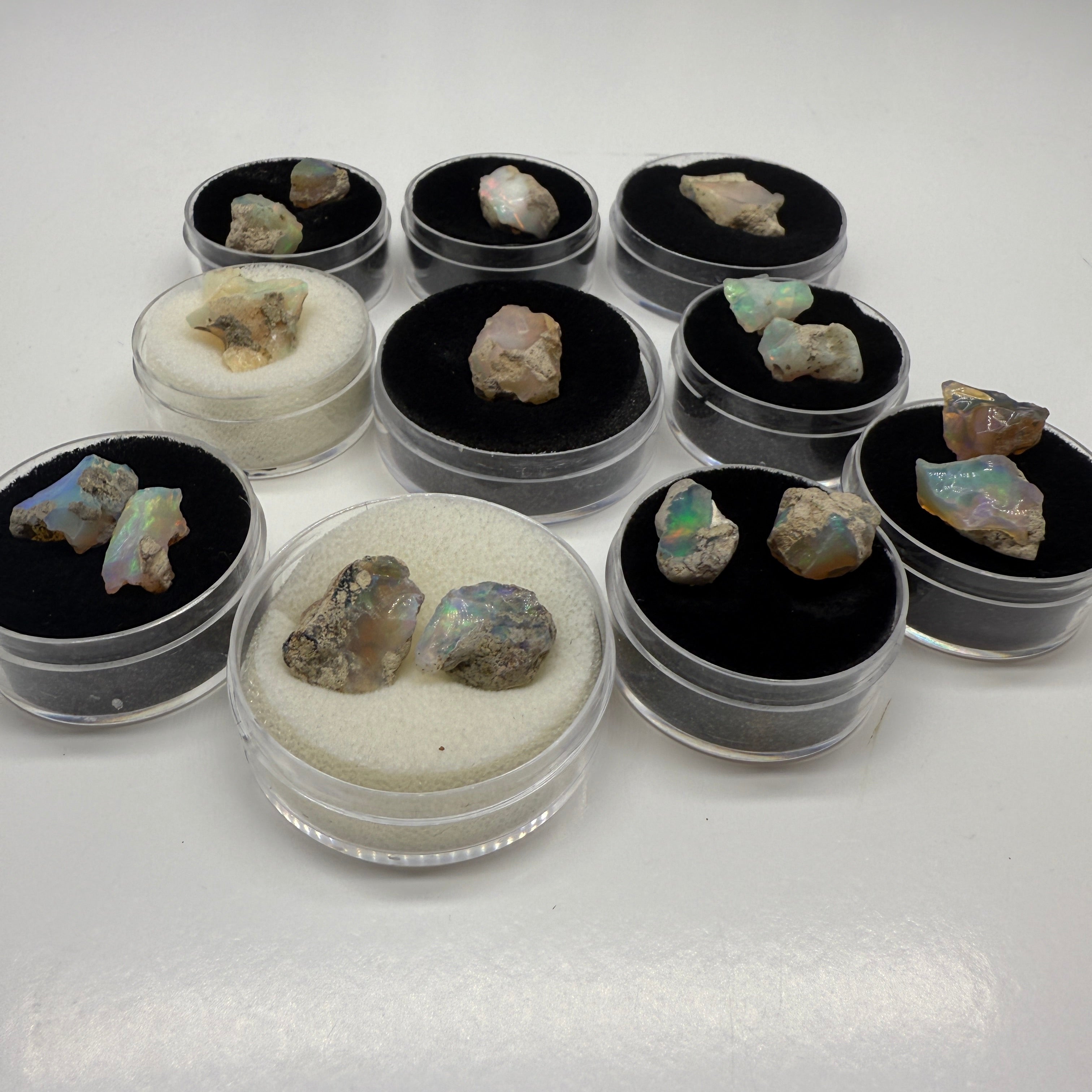 Mixed Rough Flashy Ethiopian Opal Loose Stone in Collector Case 10 Carats Each