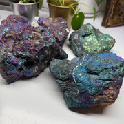 One Extra Large Rainbow Chalcopyrite Bolivar Mine, Chihuahua, Mexico