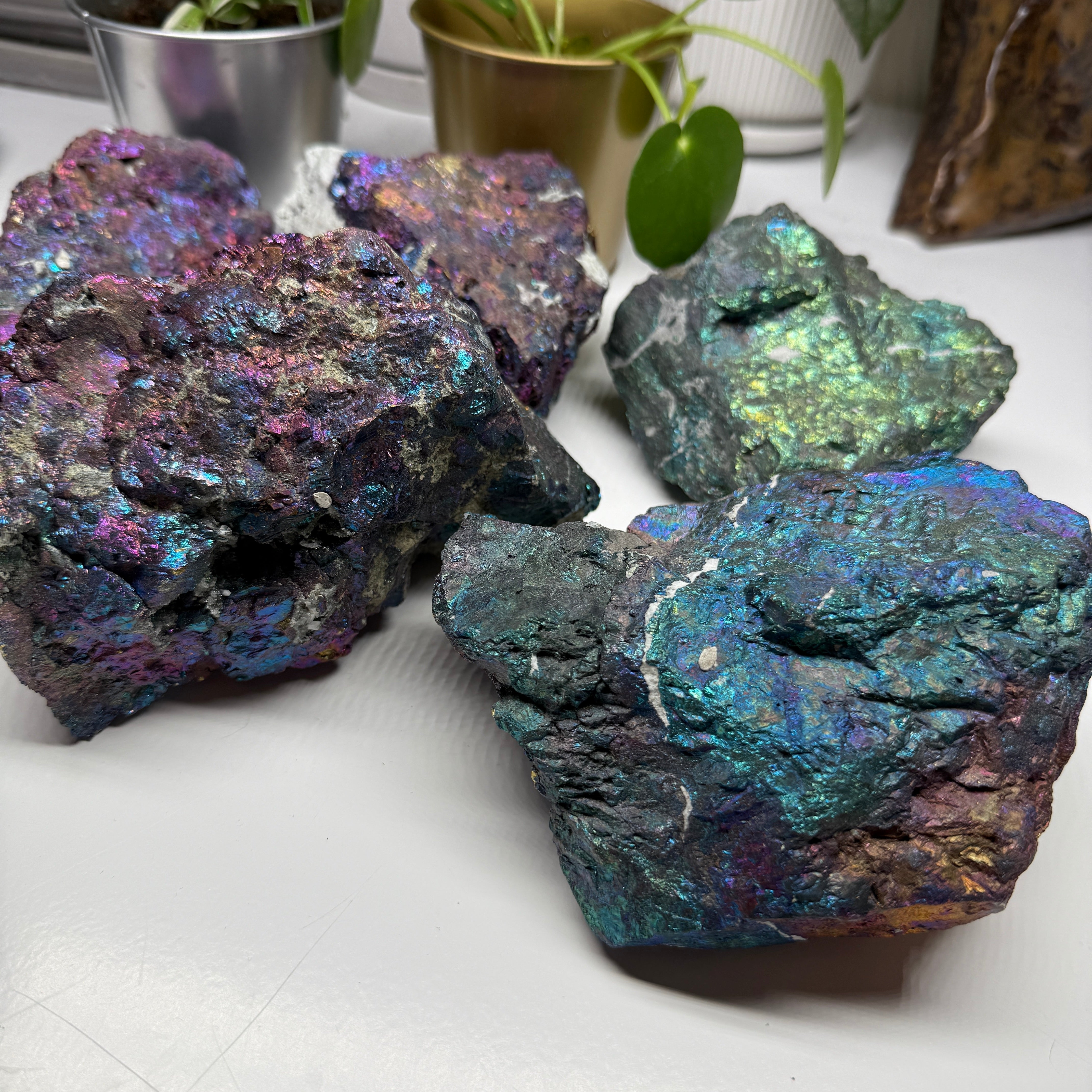 One Extra Large Rainbow Chalcopyrite Bolivar Mine, Chihuahua, Mexico