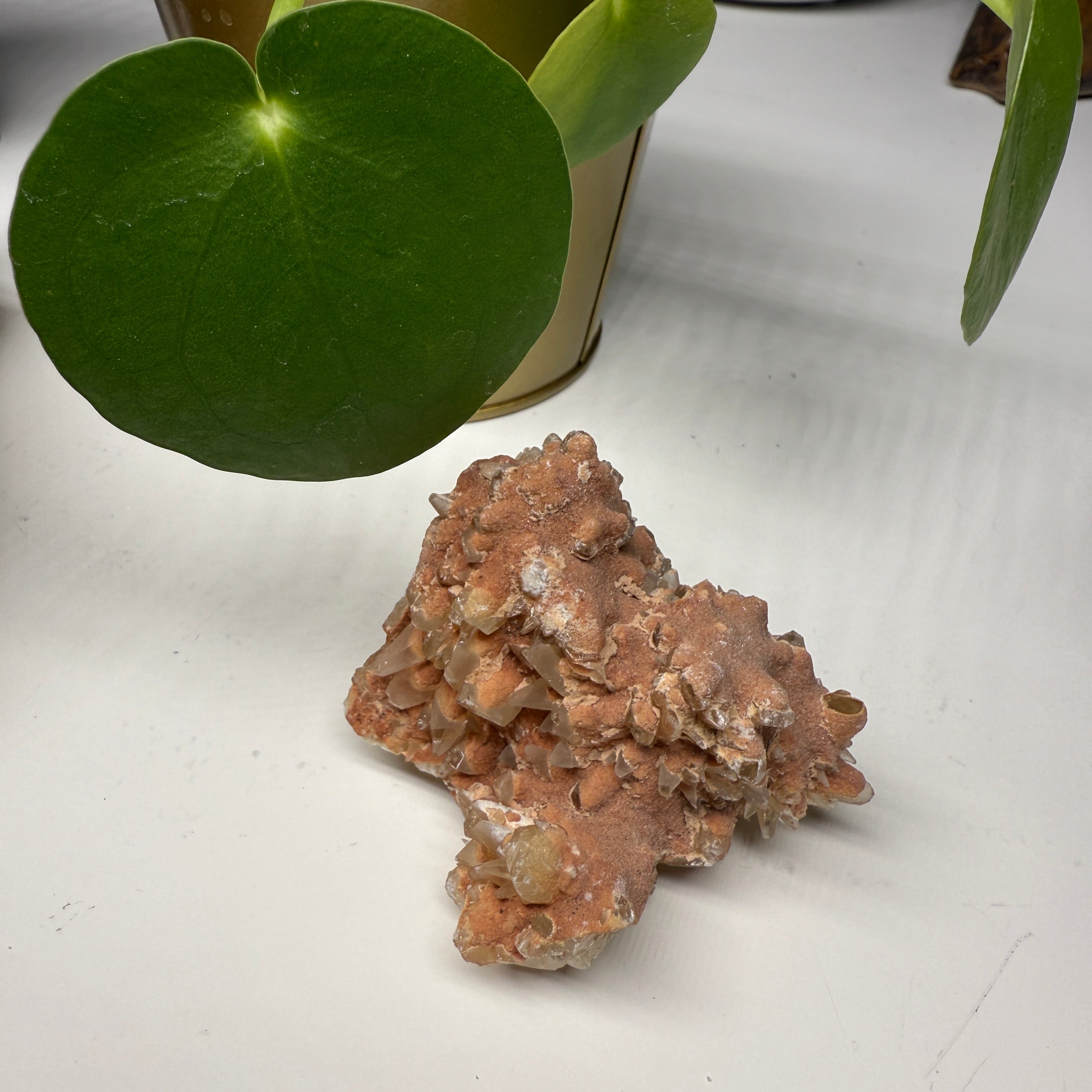 Dog Tooth Calcite Cluster from Peru
