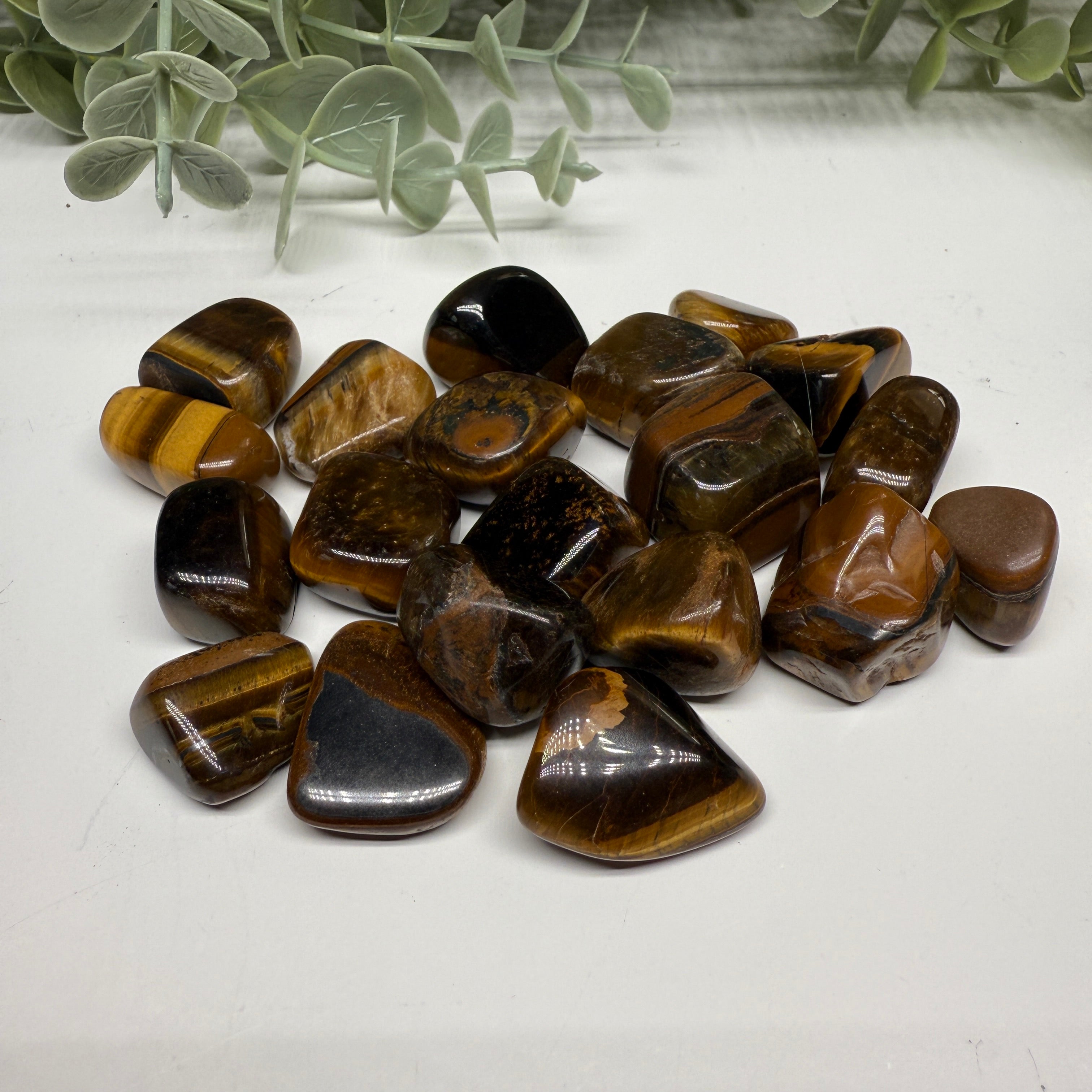 Tumbled Tiger's Eye Stones Set of Four