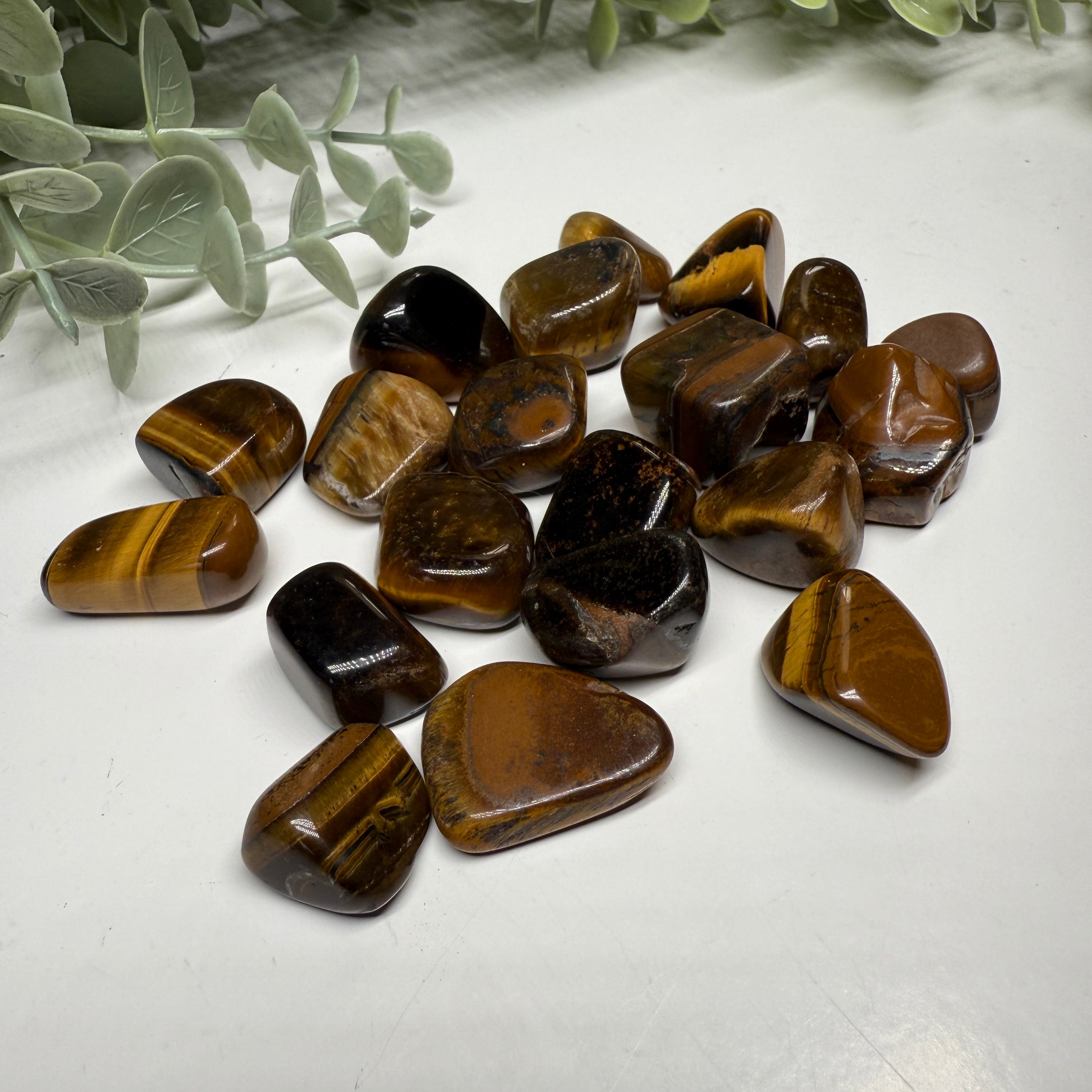 Tumbled Tiger's Eye Stones Set of Four
