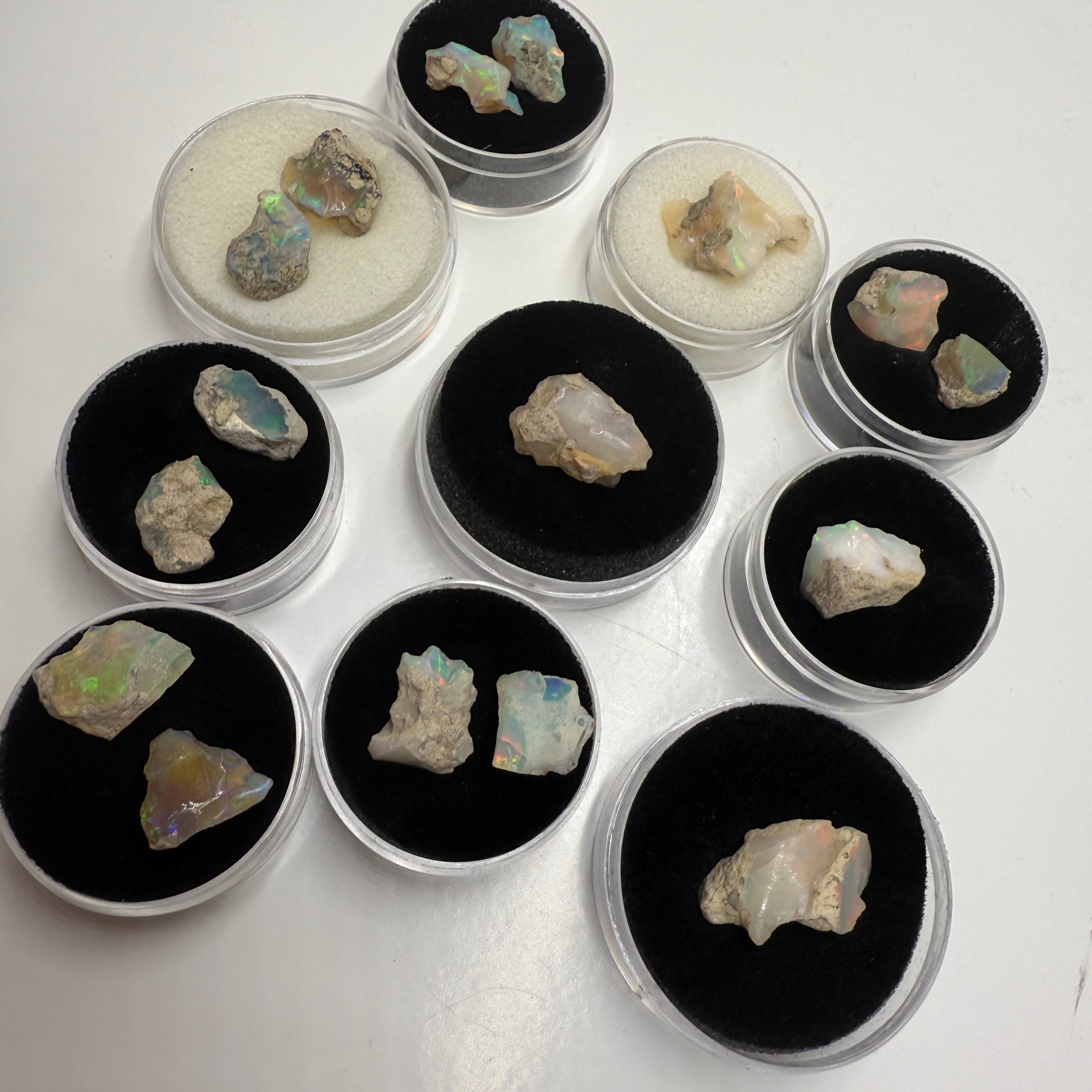 Mixed Rough Flashy Ethiopian Opal Loose Stone in Collector Case 10 Carats Each