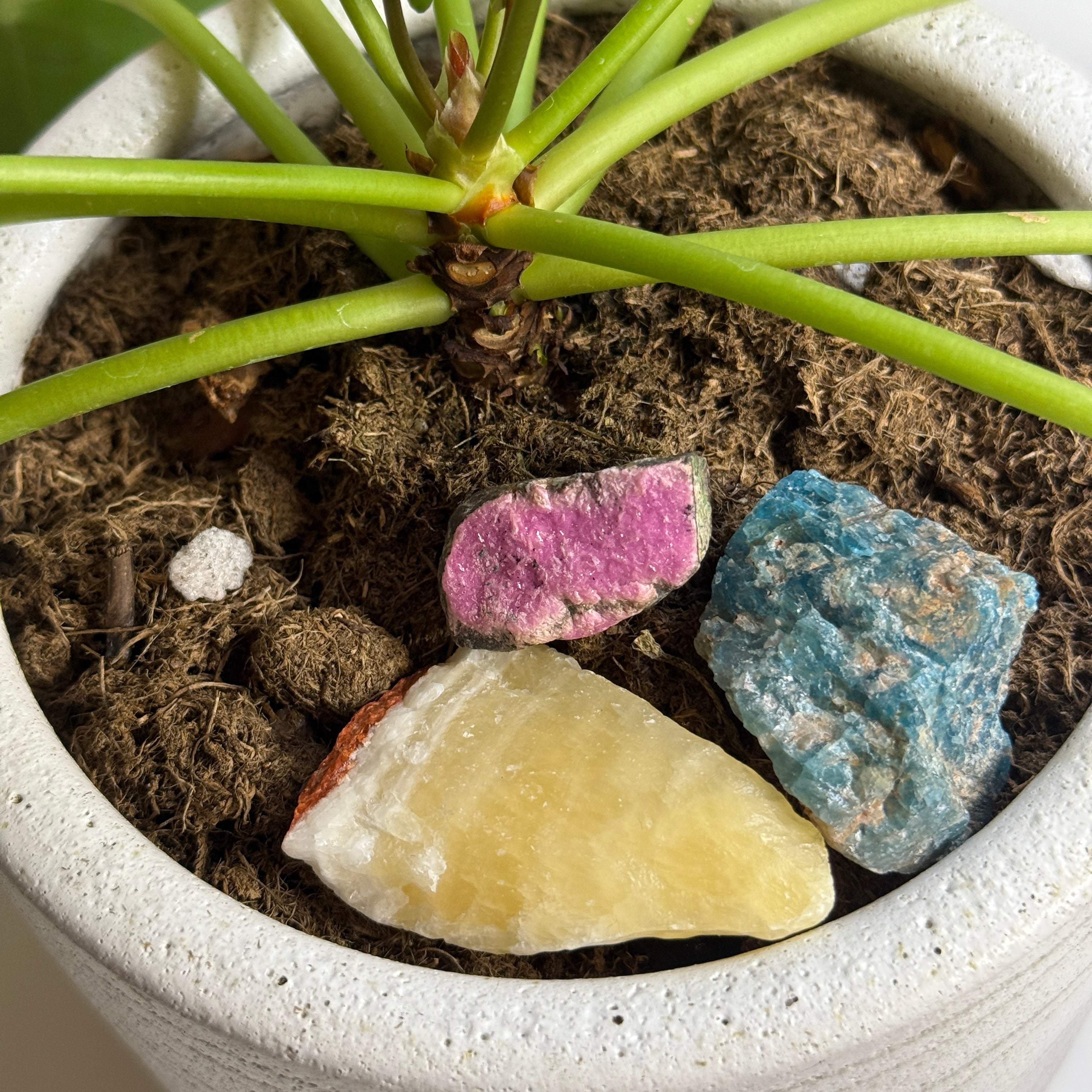 Three Piece Raw Gemstone Set - Pineapple Calcite, Sparkling Pink Aragonite and Blue Apatite Chunk