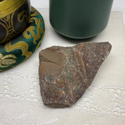 Ammolite Fossil Specimen from Alberta
