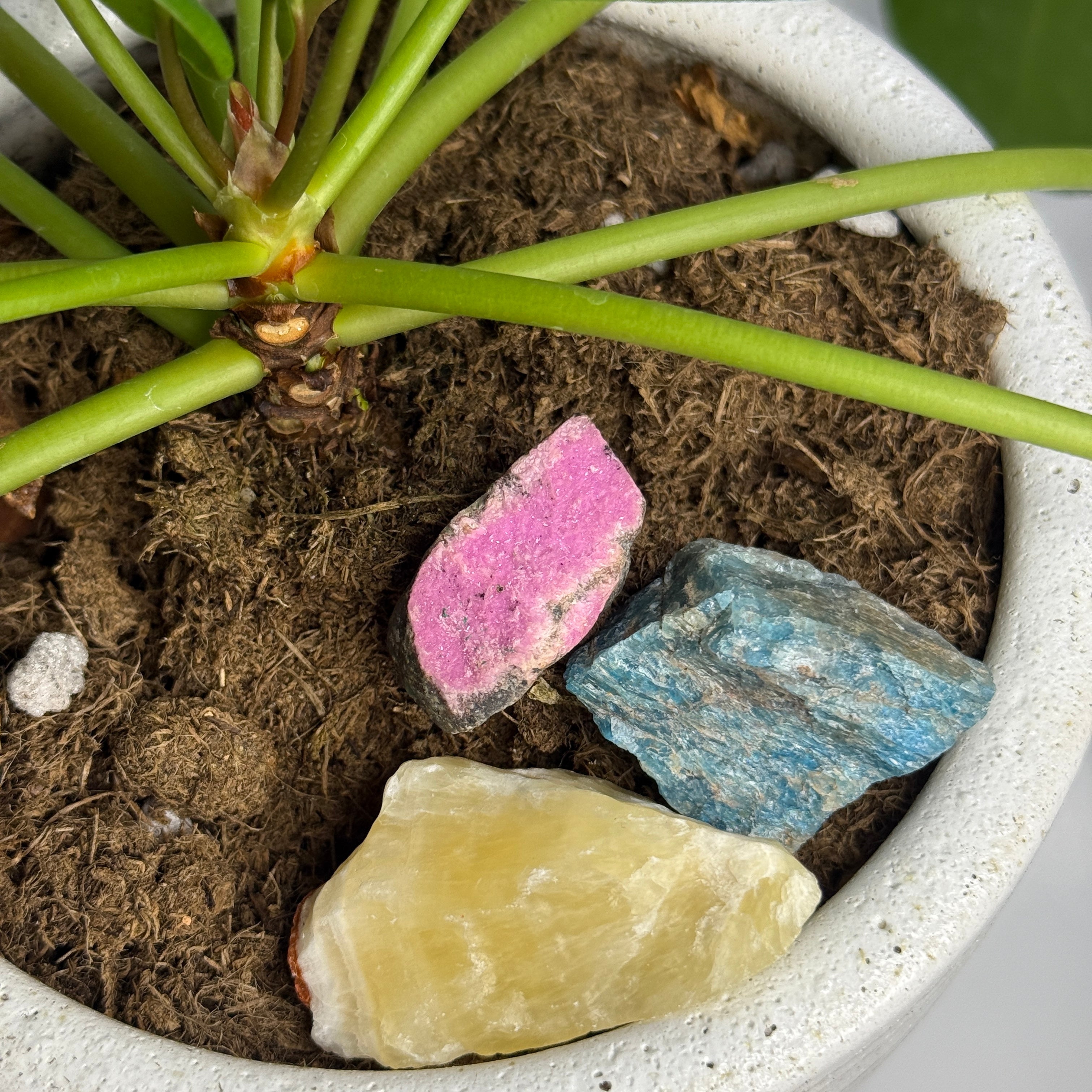 Three Piece Raw Gemstone Set - Pineapple Calcite, Sparkling Pink Aragonite and Blue Apatite Chunk