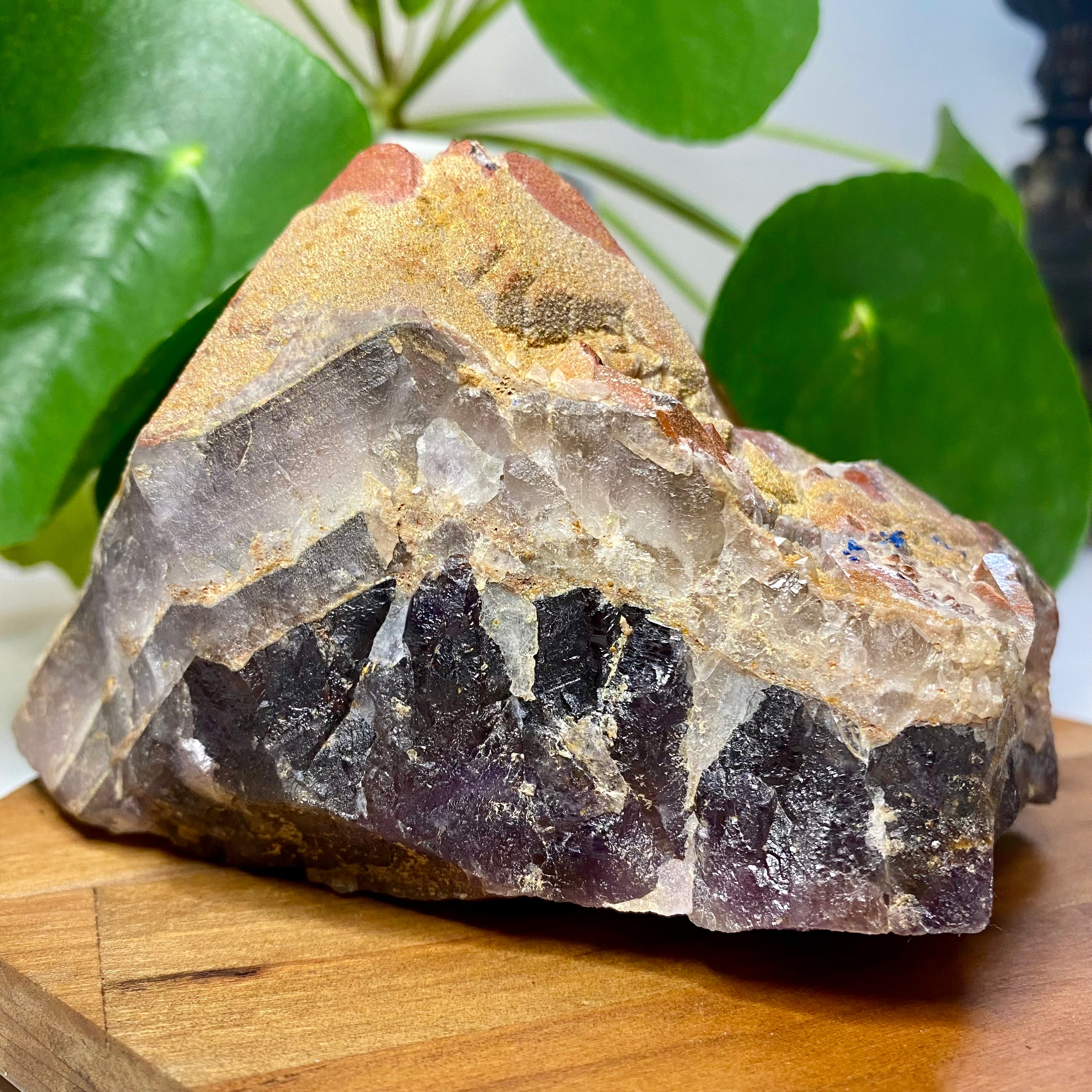 Jumbo Auralite 23 Cluster of Points with Shimmering Hematoid Caps and Record Keepers