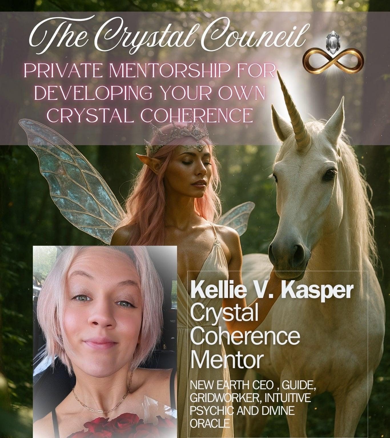 The Crystal Council ~ Unicorn of Crystal Mentorship | One Month Access to Private Mentorship with Kellie