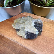 Gorgeous Sparkling Dogtooth Calcite Cluster Nestled on Fluorite Matrix