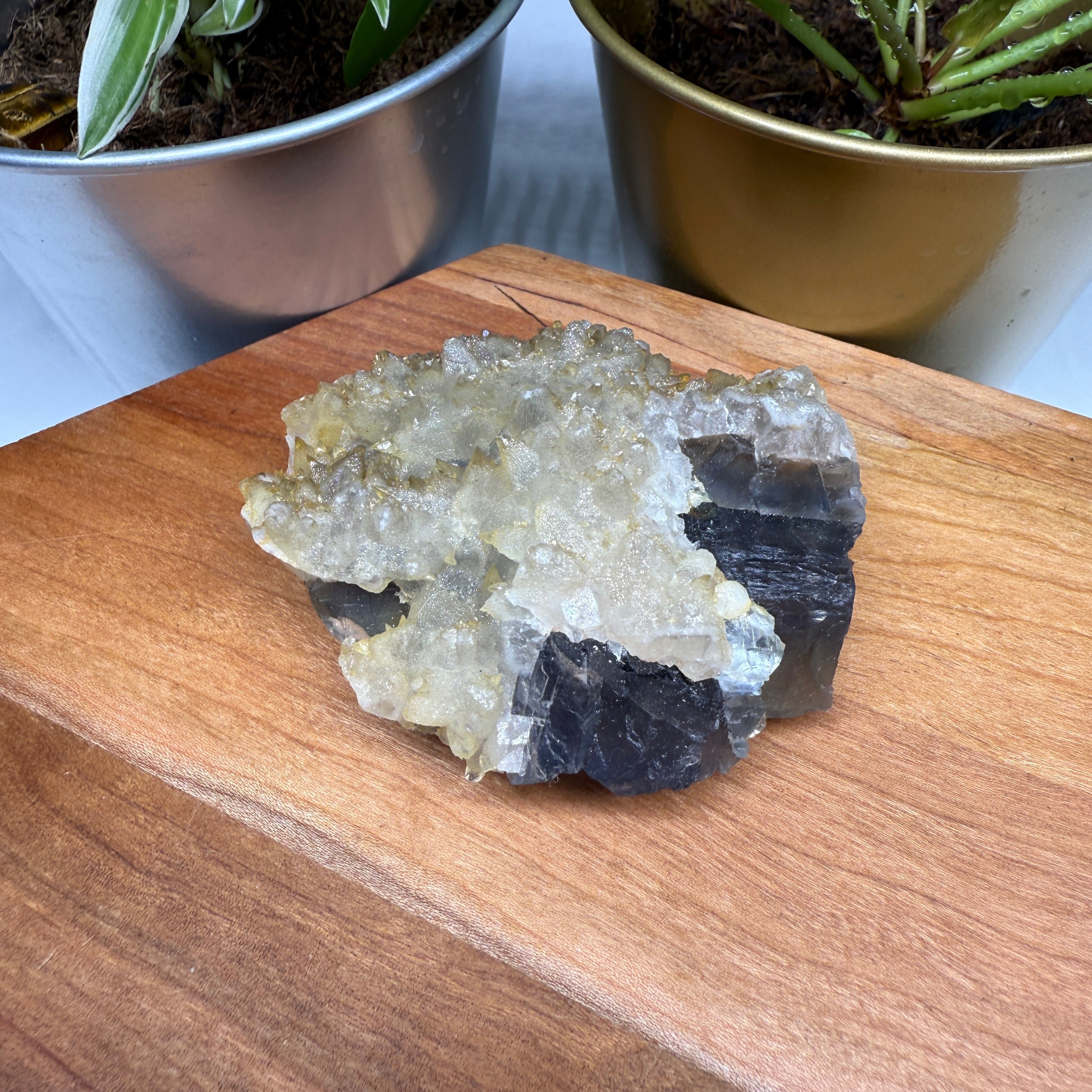 Gorgeous Sparkling Dogtooth Calcite Cluster Nestled on Fluorite Matrix
