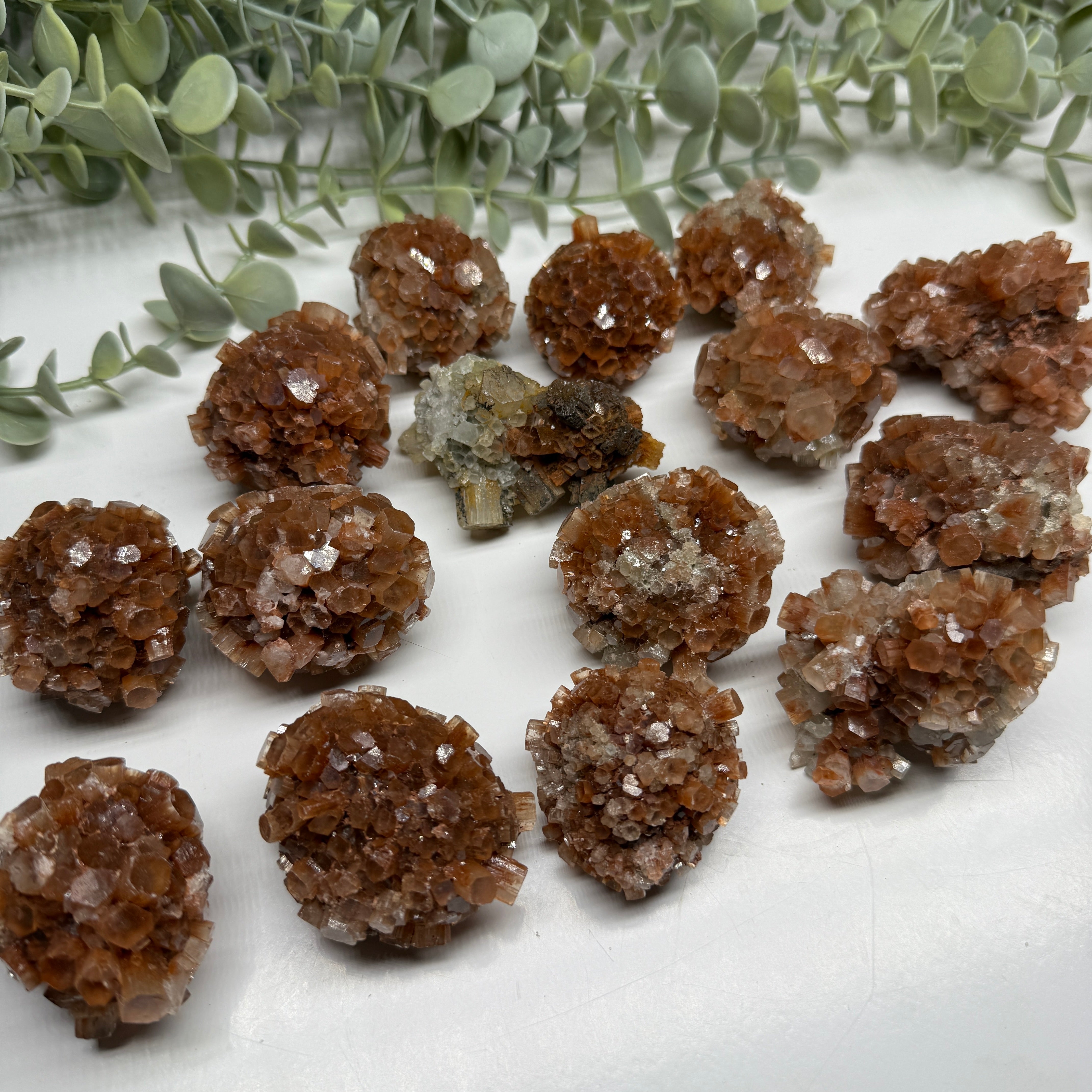 One Star Aragonite Cluster
