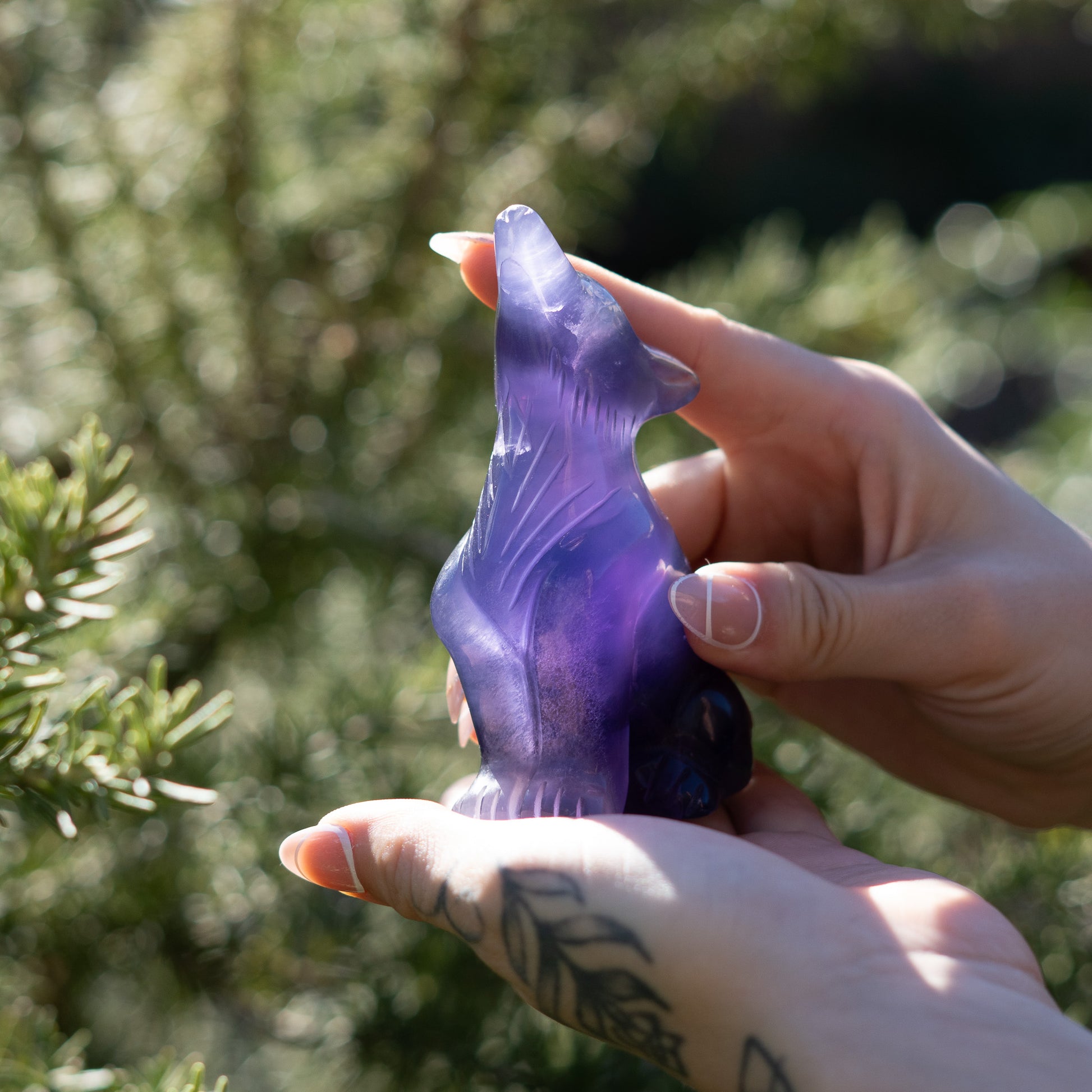 Hand holding a purple crystal object with green foliage in the background