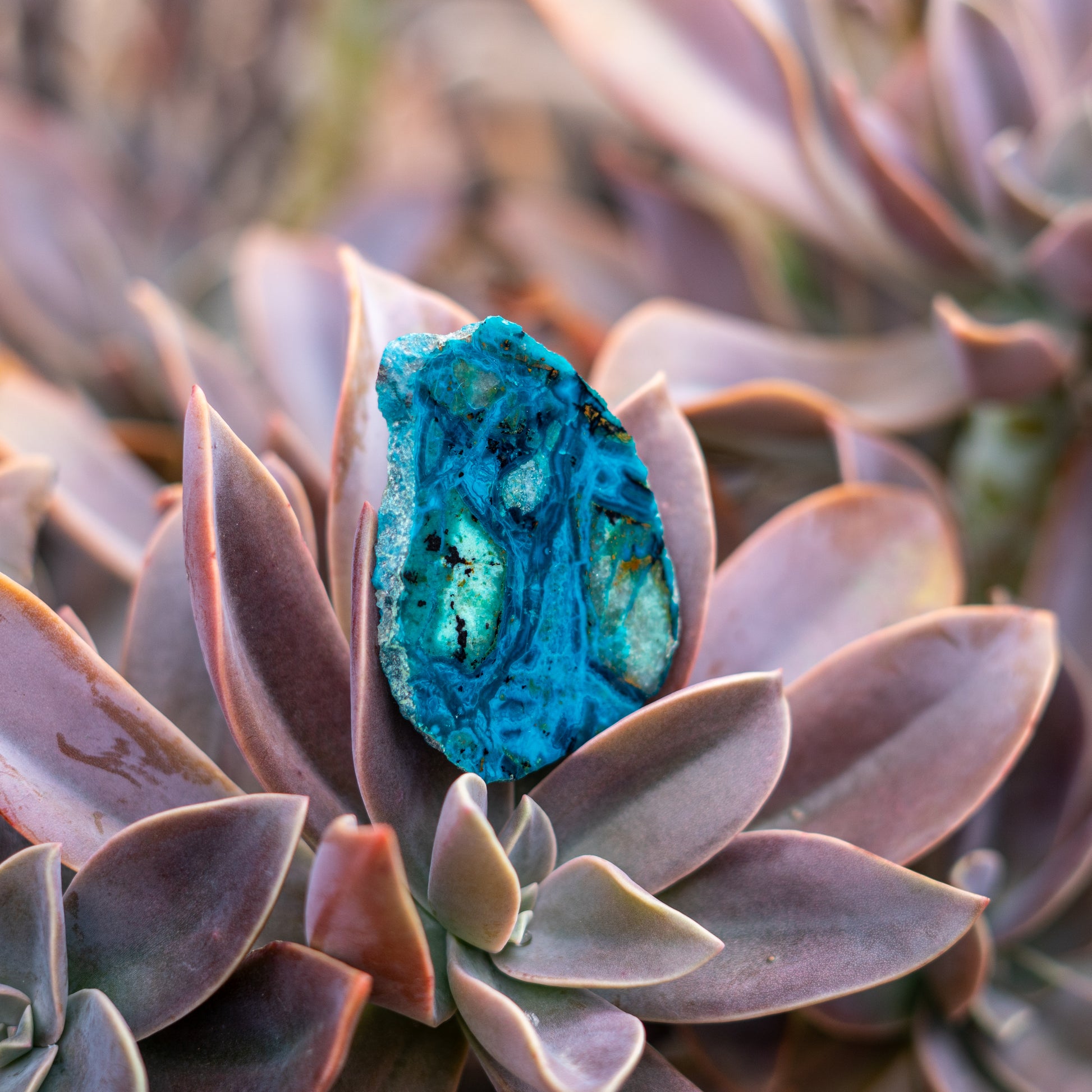 a beautiful slice of chrysocolla stone from Arizona 