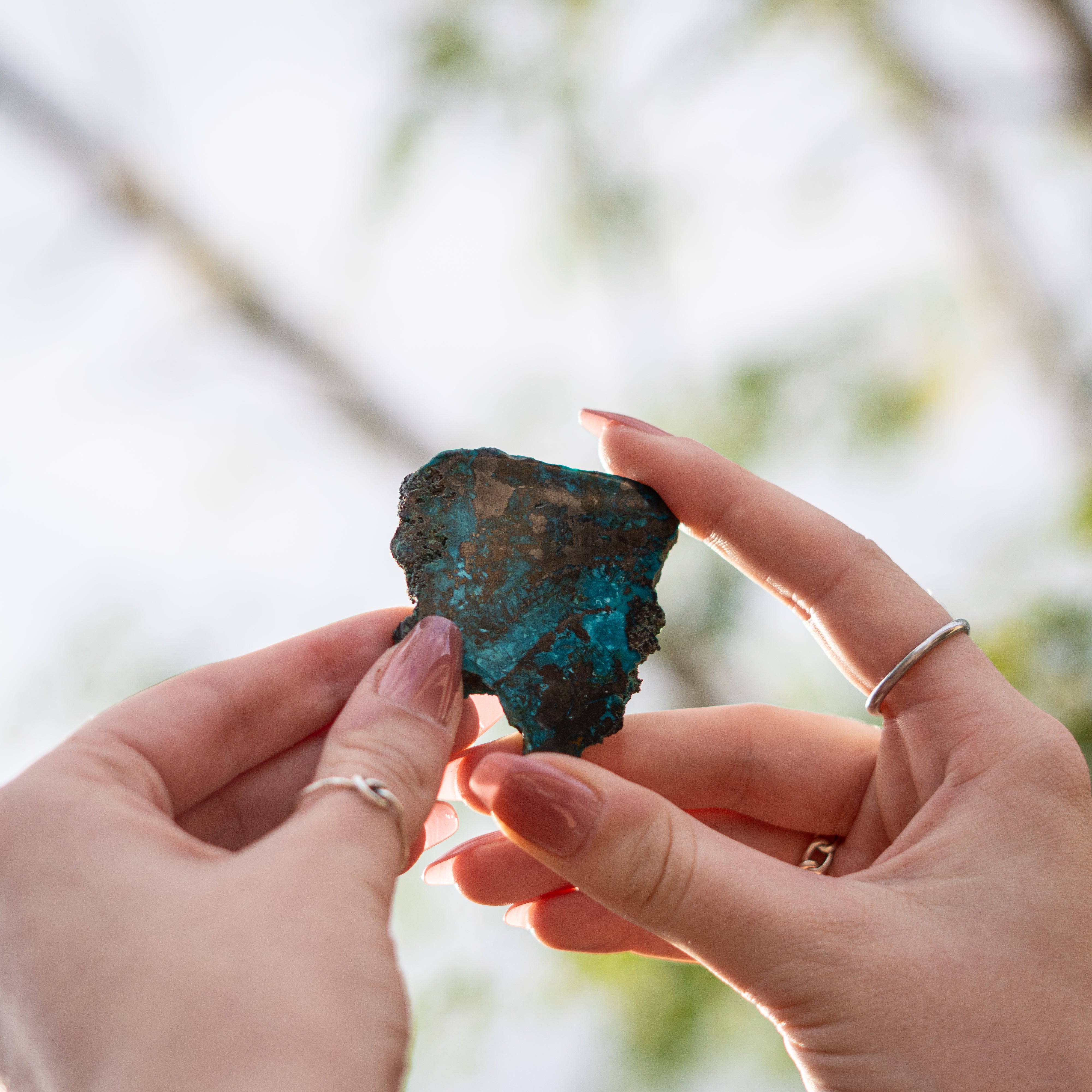 Chrysocolla with Shattuckite from Mexico