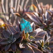 Chrysocolla with Shattuckite from Mexico