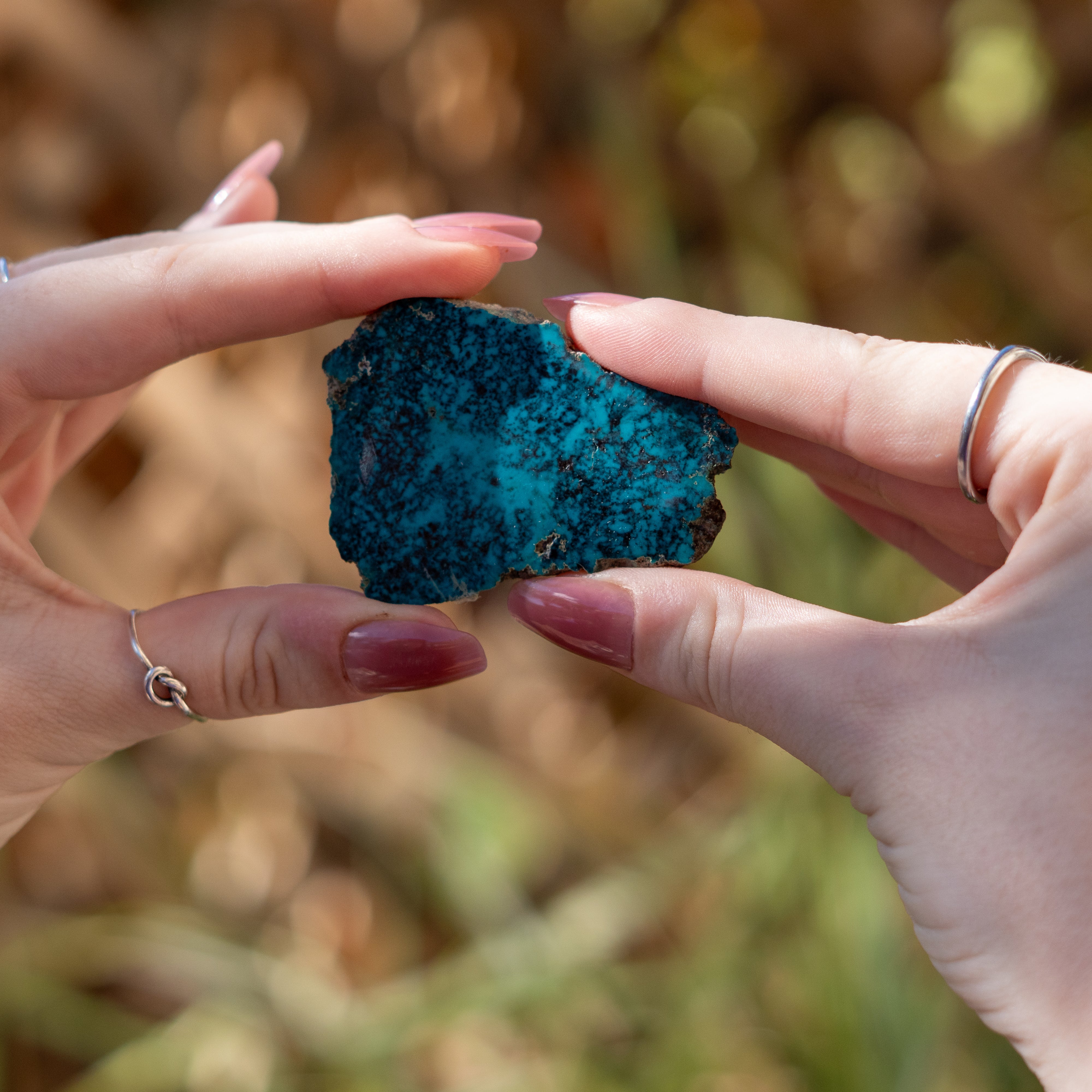 Chrysocolla with Shattuckite from Mexico