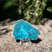 Chrysocolla with Shattuckite from Mexico