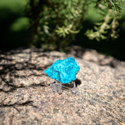 Chrysocolla with Shattuckite from Mexico