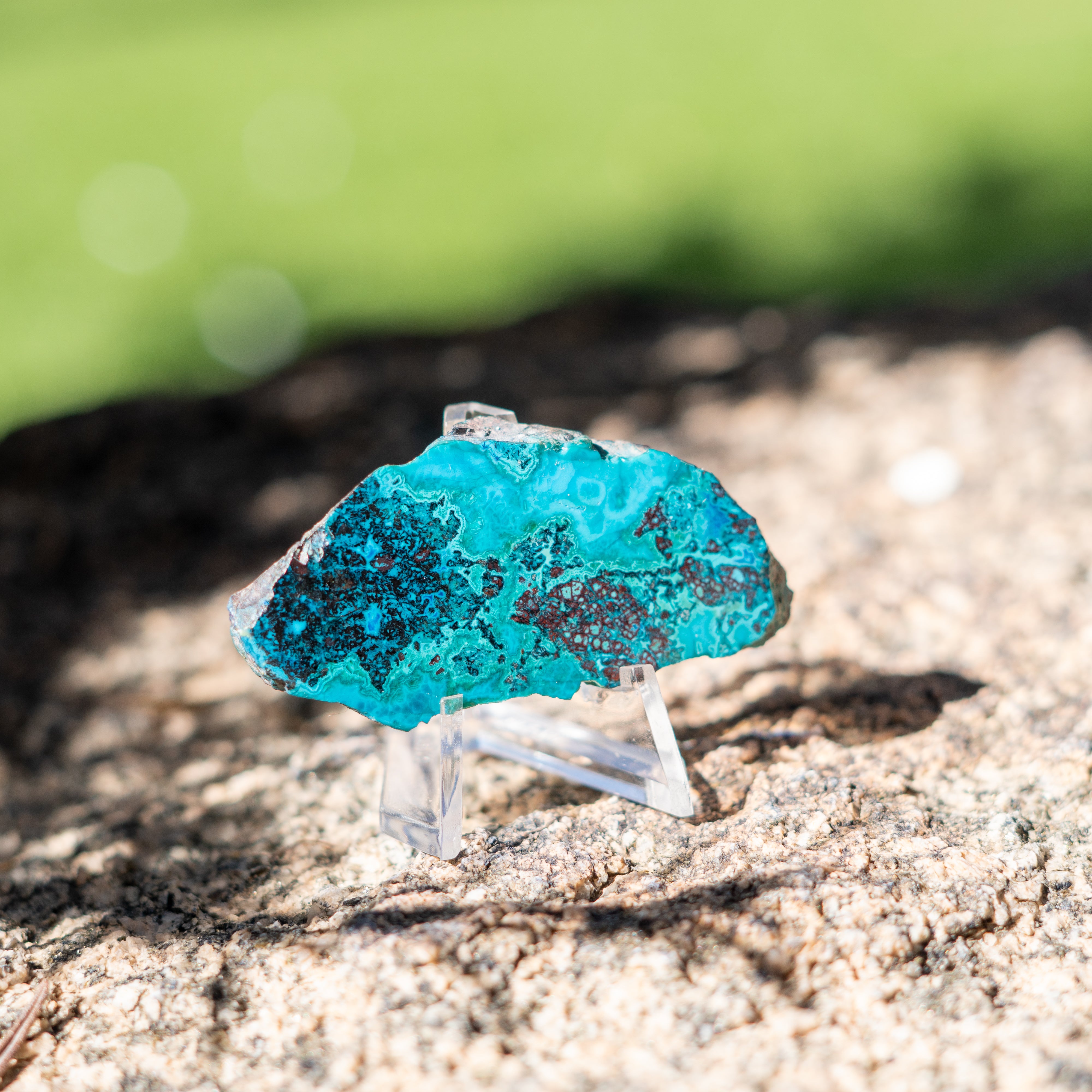 Chrysocolla with Shattuckite from Mexico
