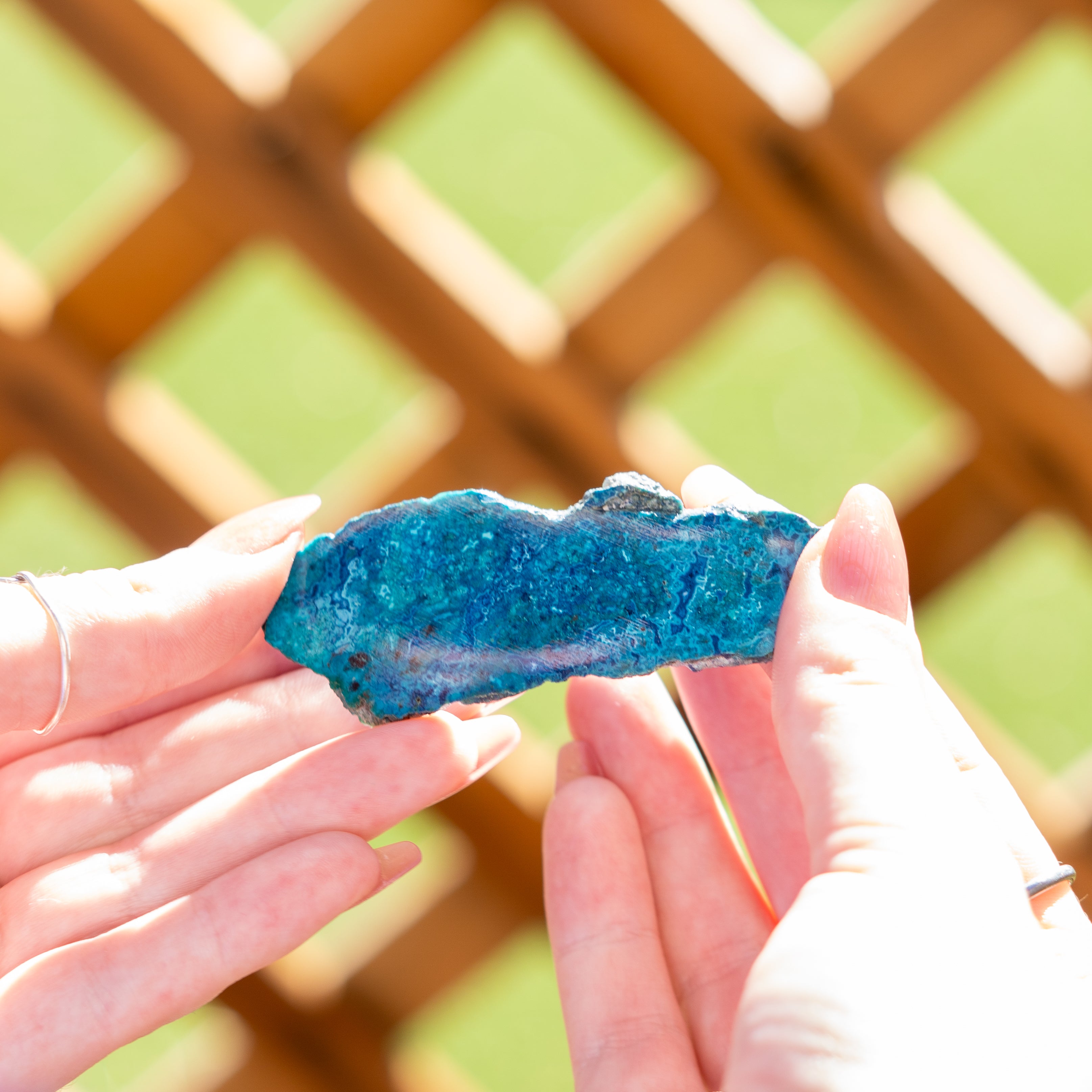 Chrysocolla with Shattuckite - Mexico