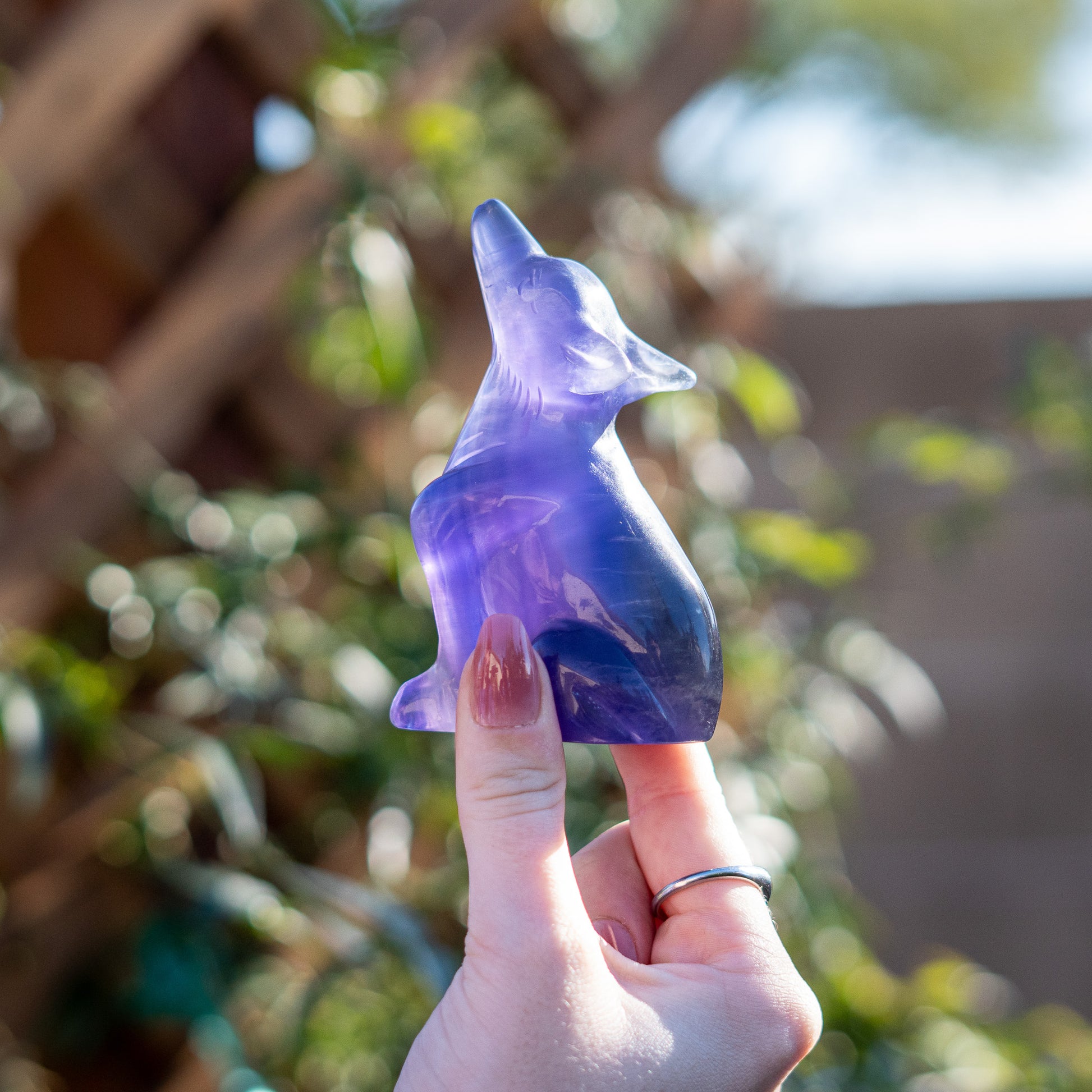 Hand holding a purple crystal wolf figurine with a blurred natural background