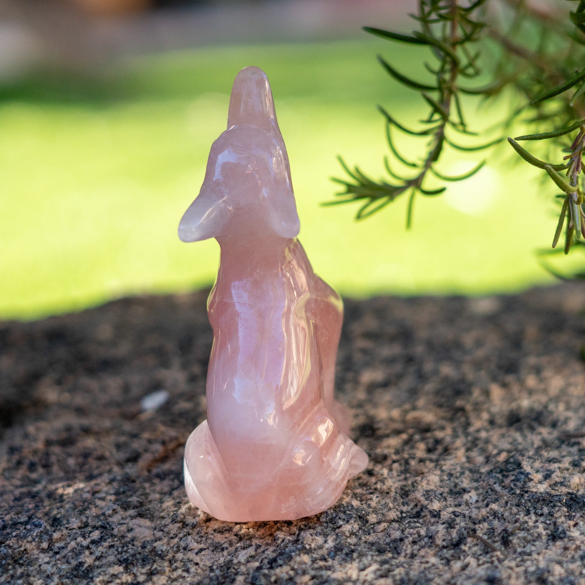 Pink crystal dog figurine on a natural stone surface with greenery in the background