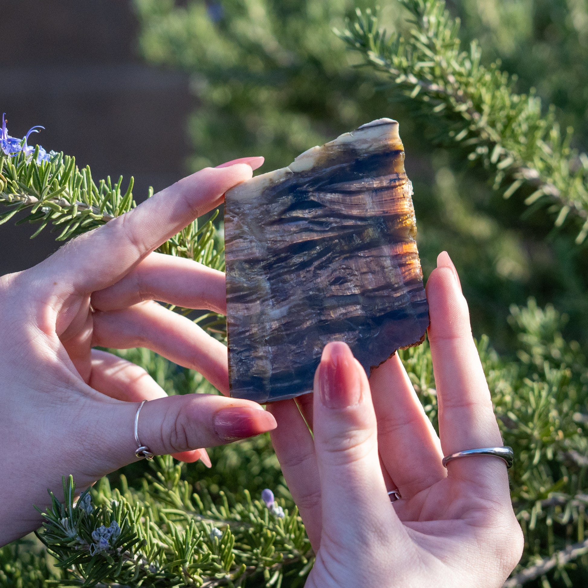Pietersite from Arizona USA