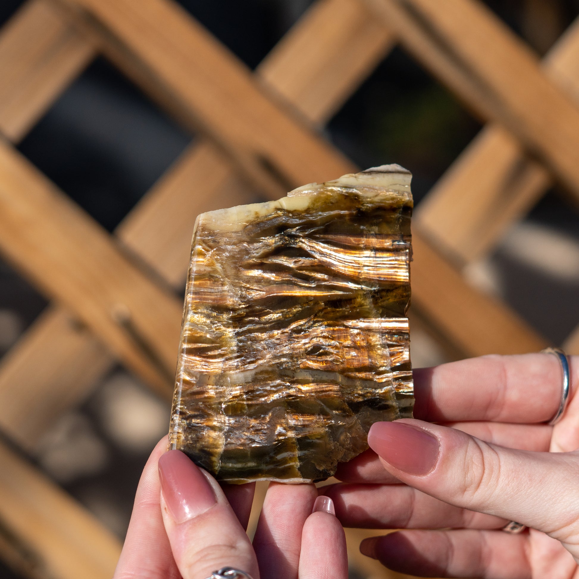 Pietersite from Arizona USA