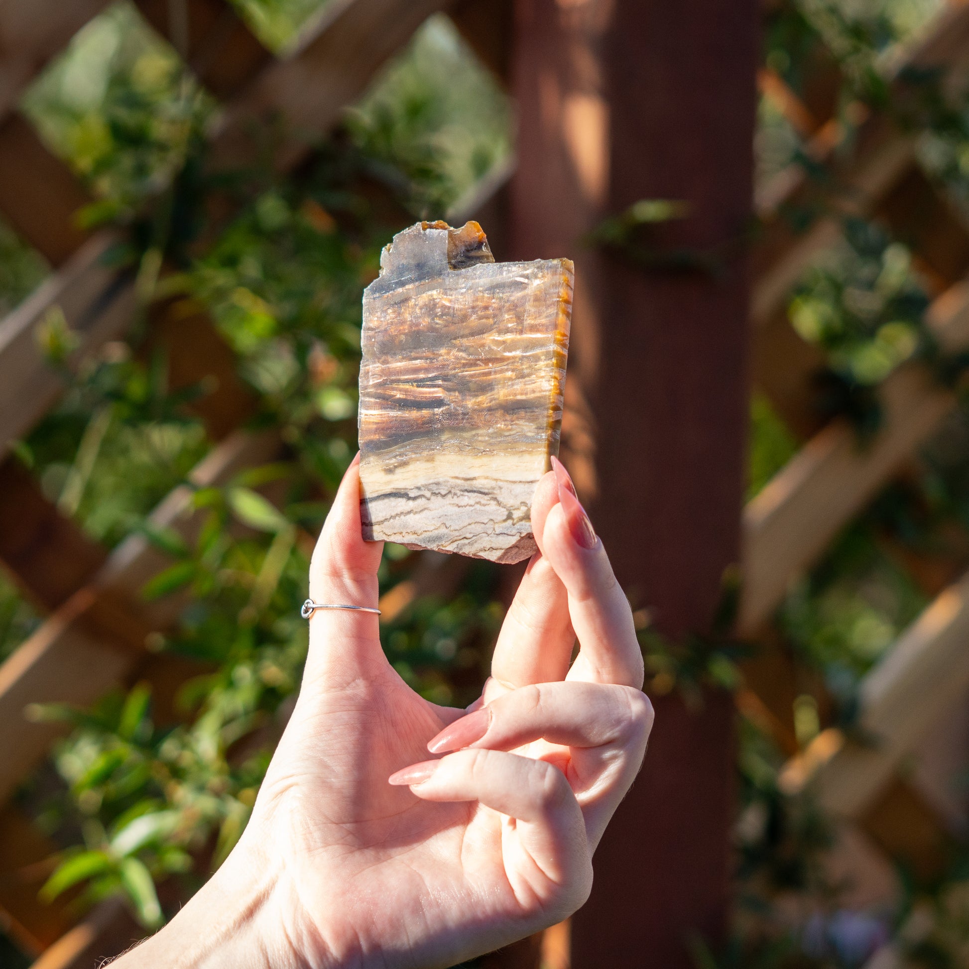 Pietersite from Arizona USA