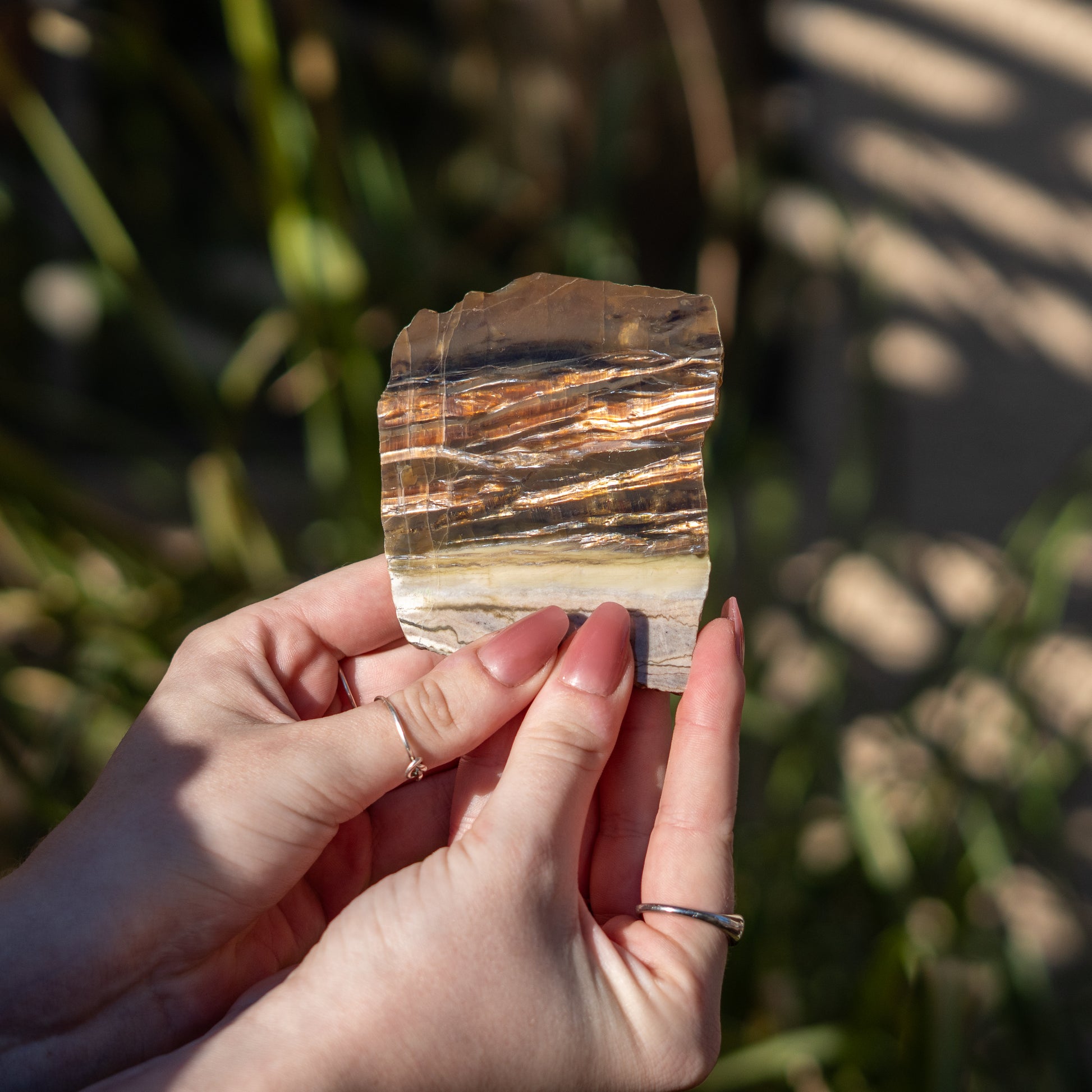 Pietersite from Arizona USA