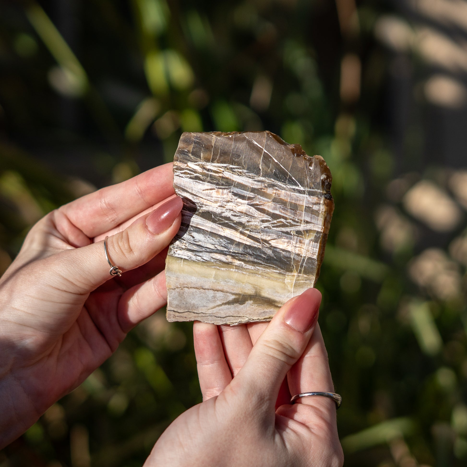 Pietersite from Arizona USA