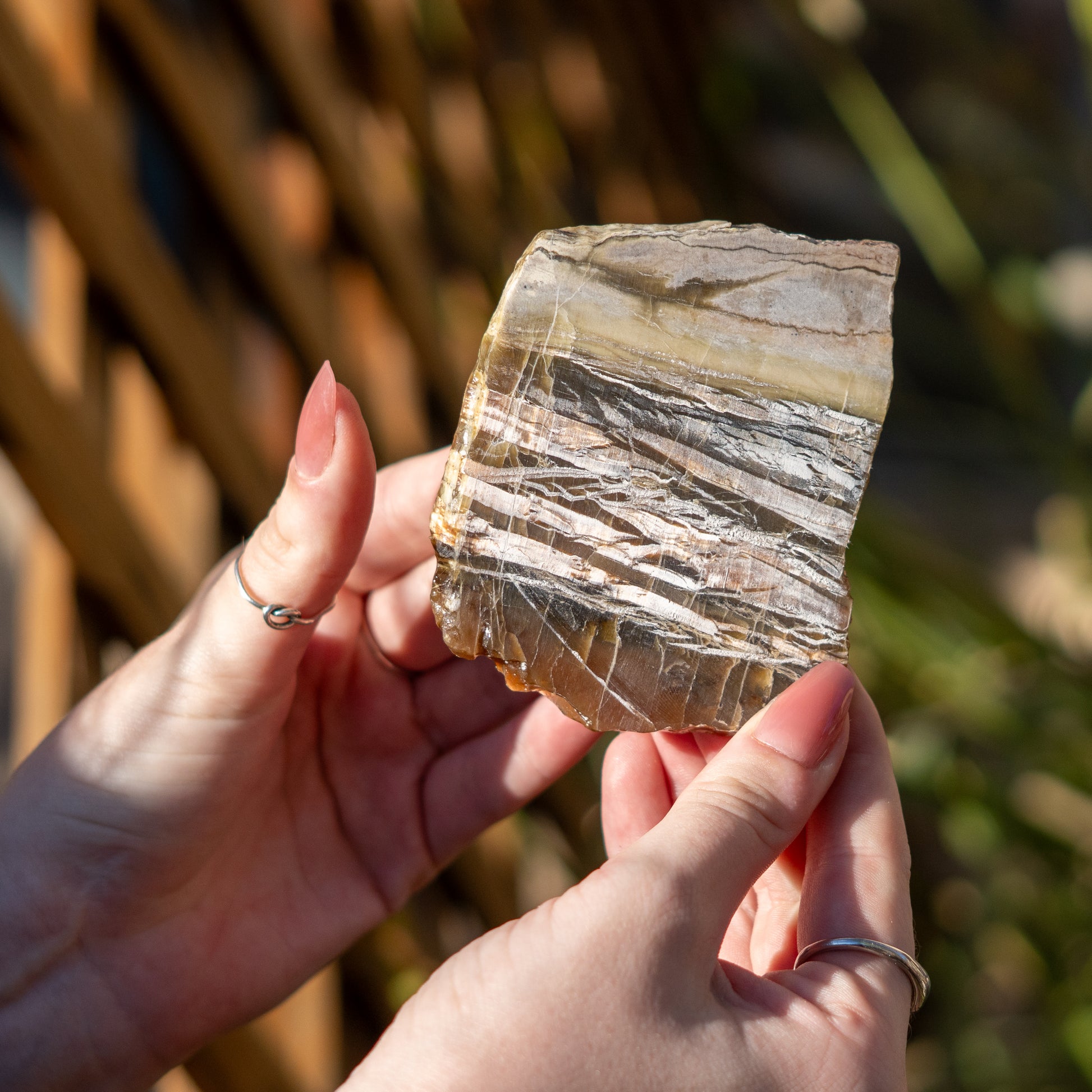 Pietersite from Arizona USA