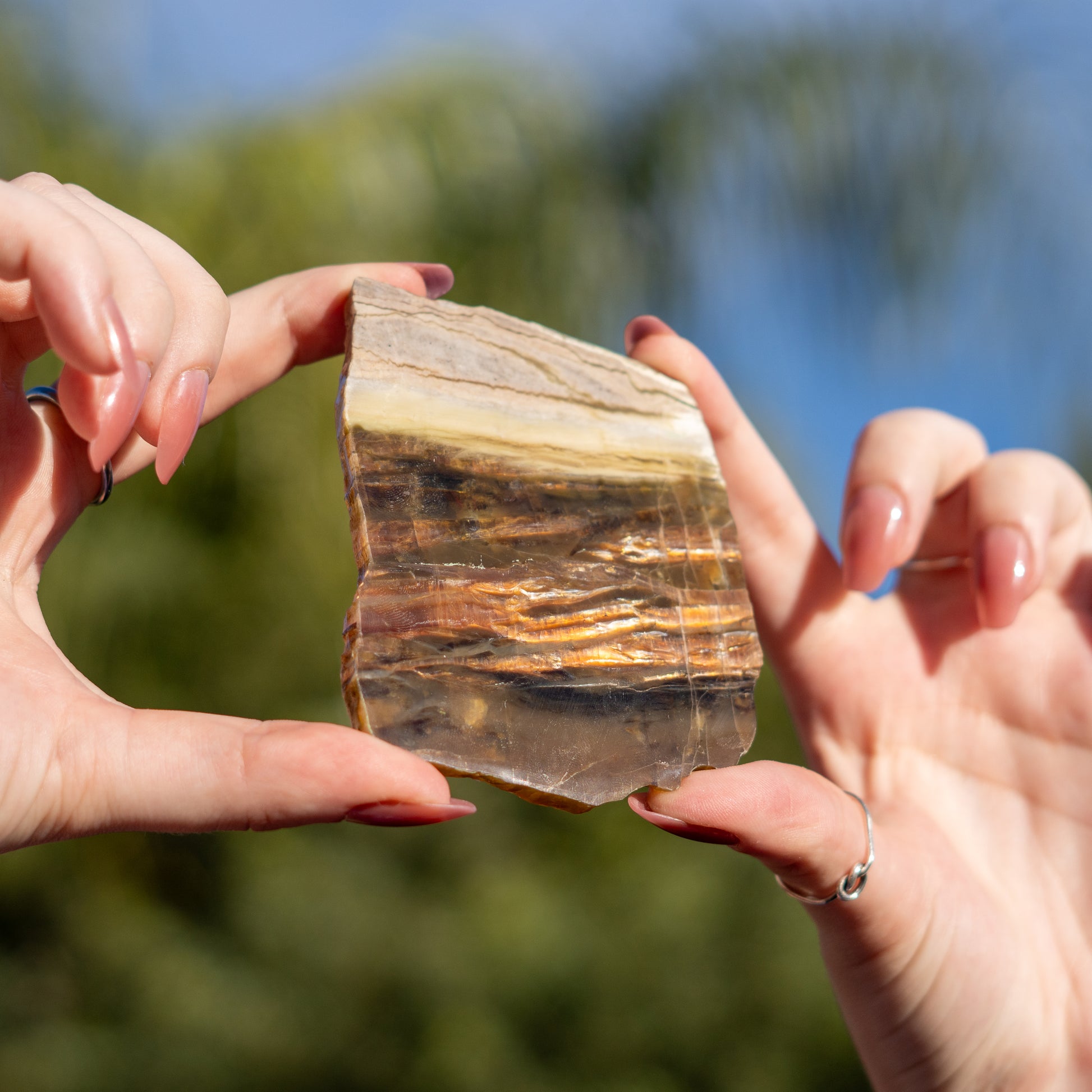 Pietersite from Arizona USA
