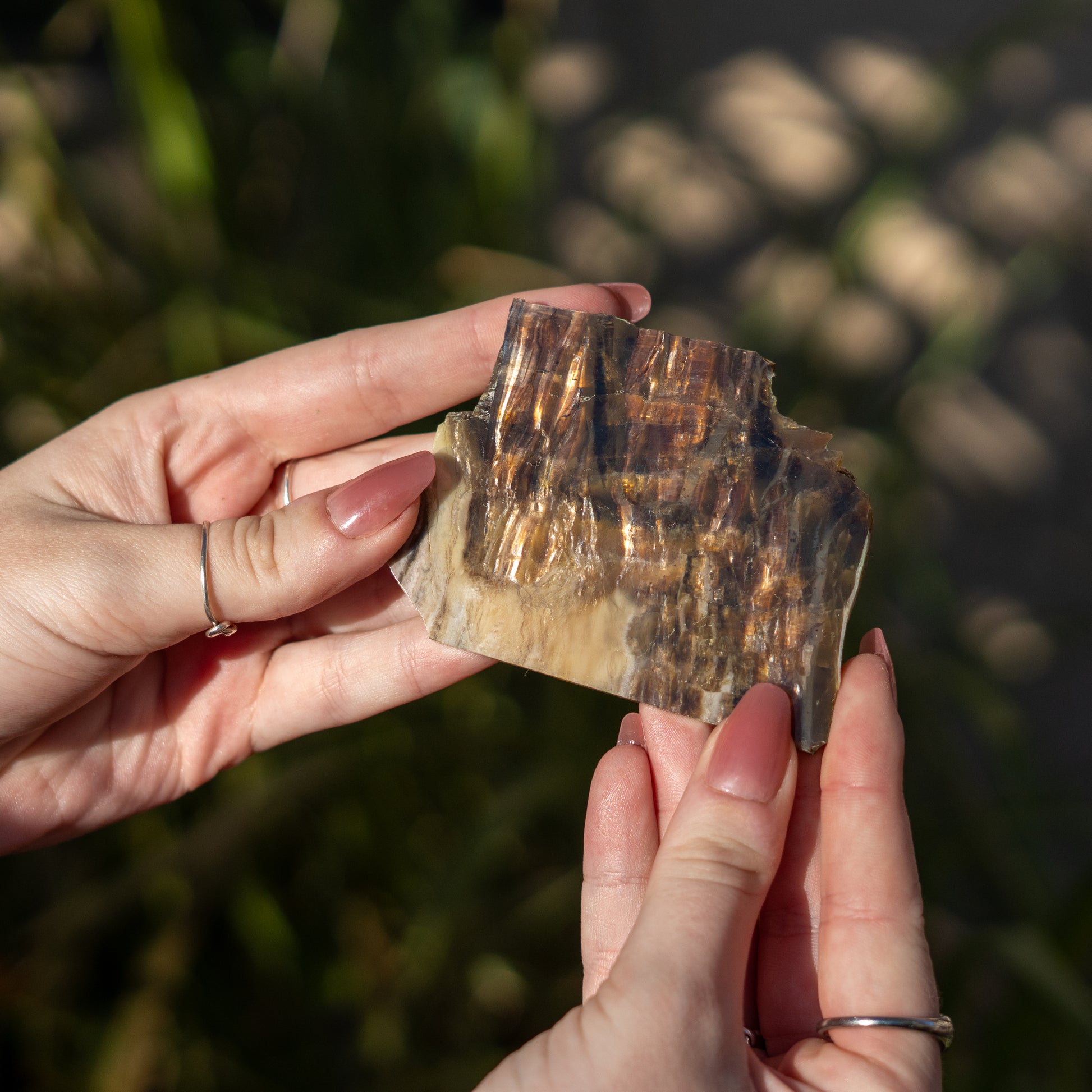 Pietersite from Arizona USA