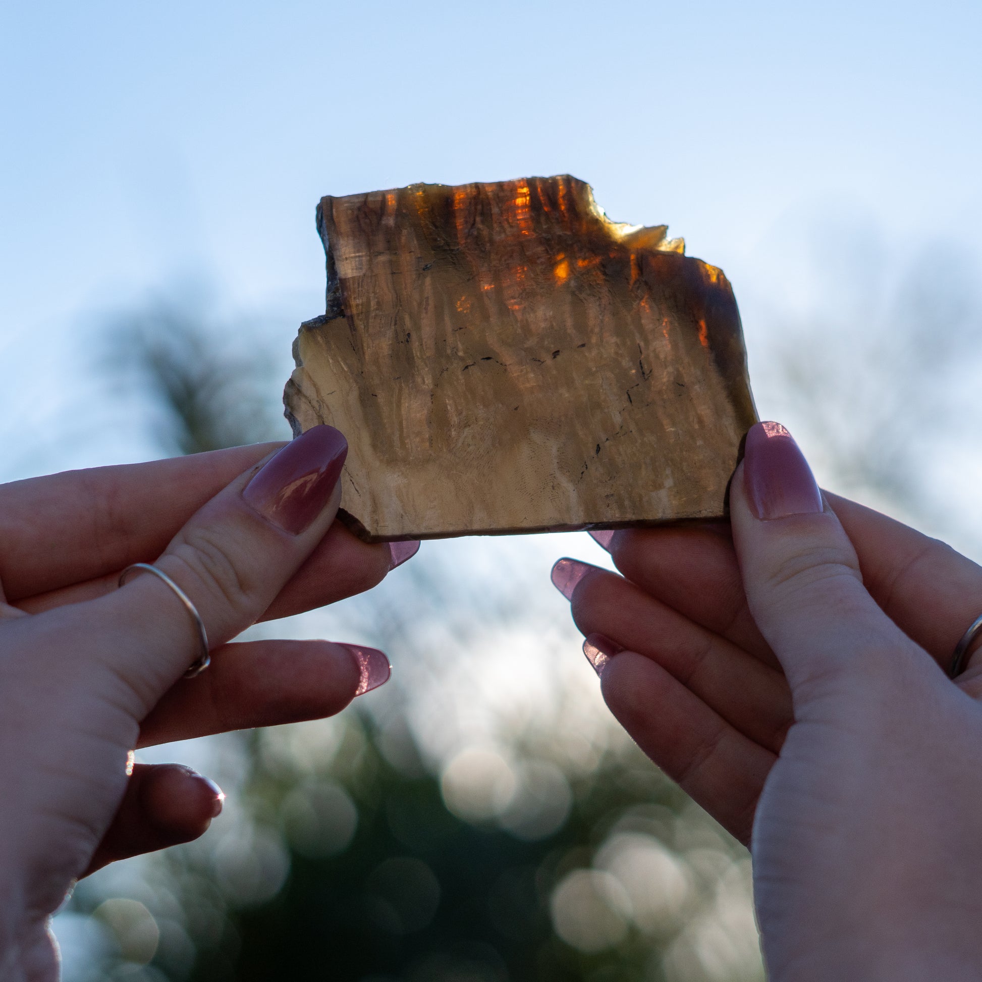 Pietersite from Arizona USA