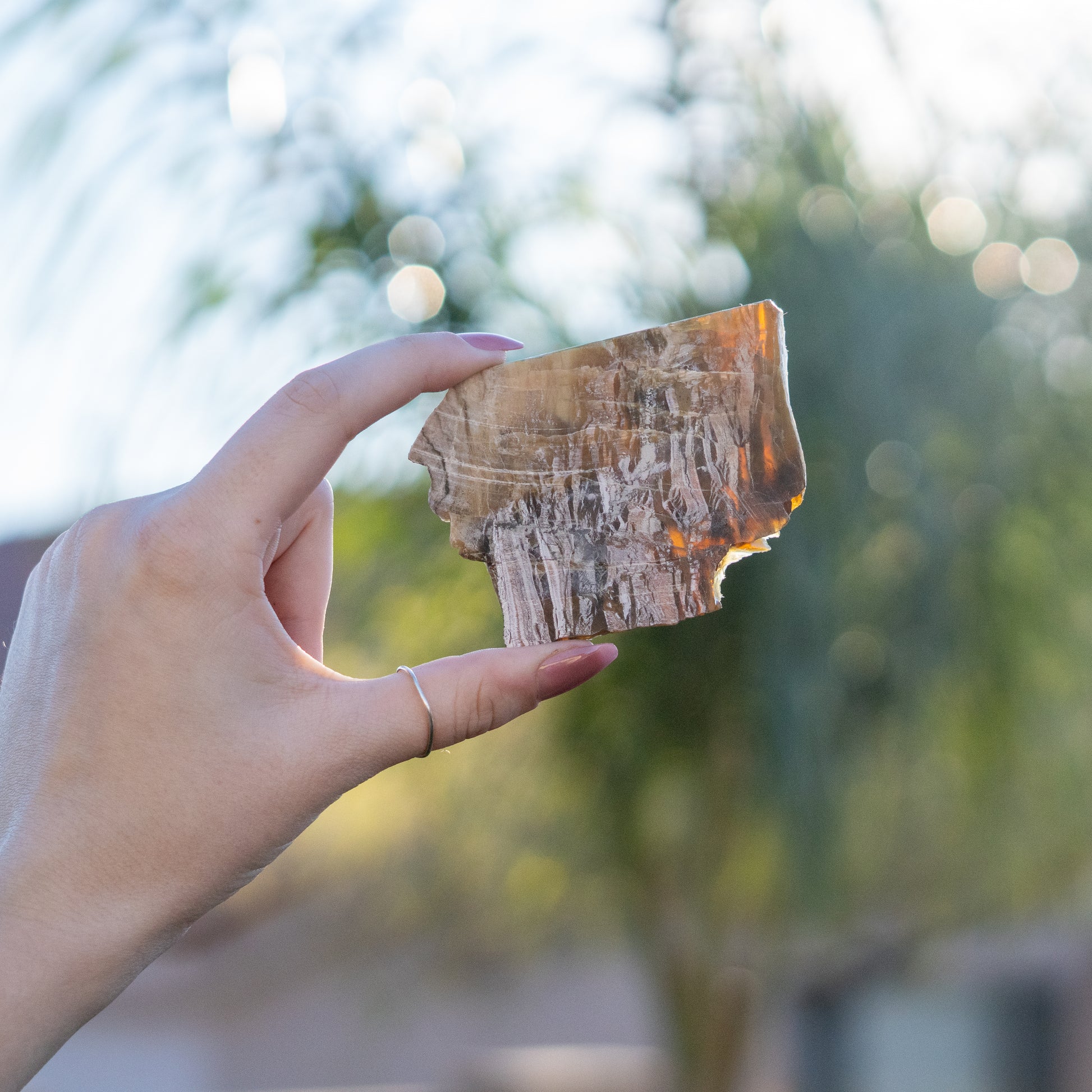 Pietersite from Arizona USA